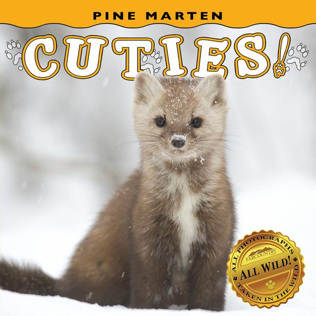 Vorderes Coverbild Pine Marten Cuties!