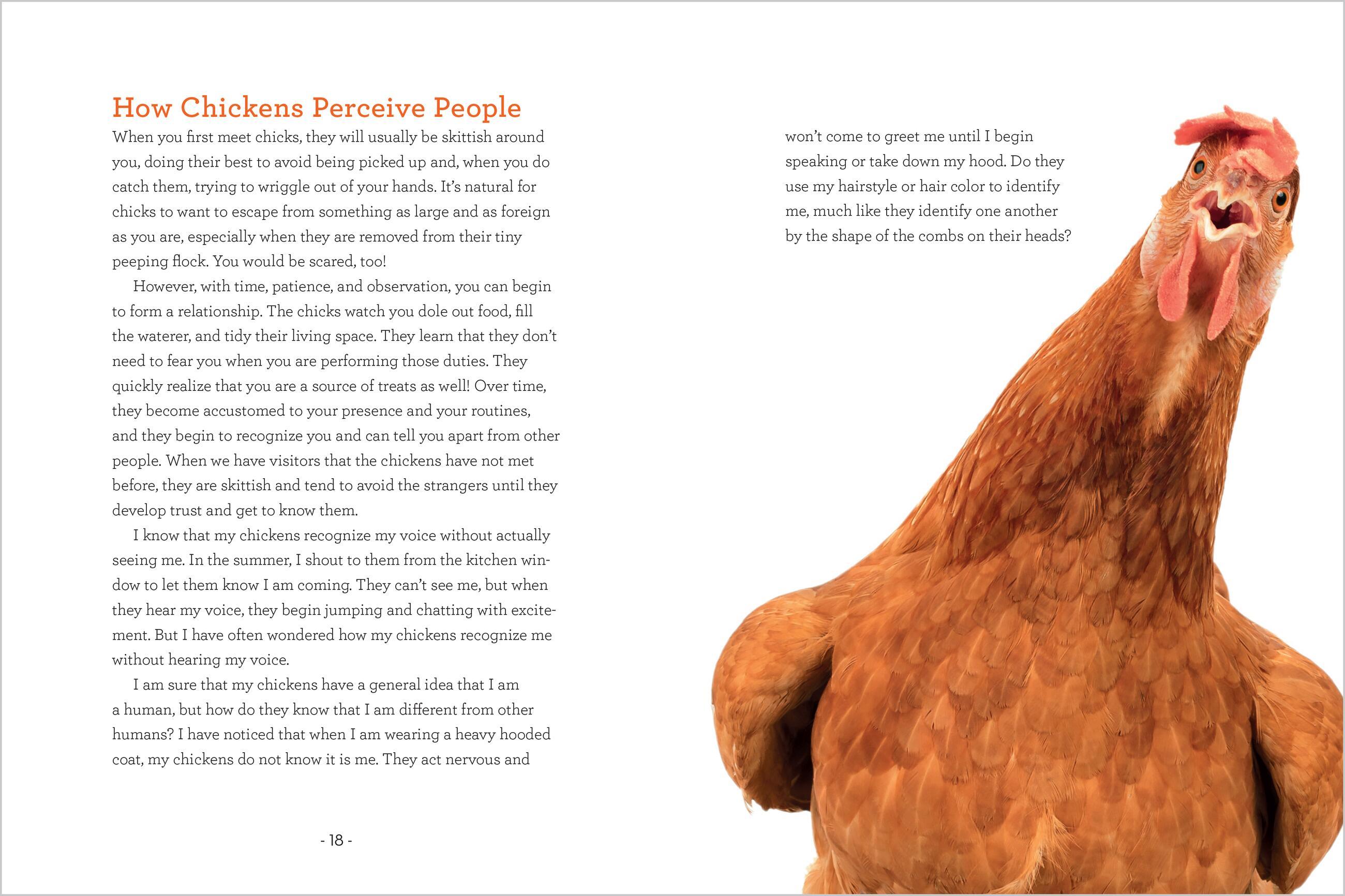 Beispielinhalt (Bild) How to Read a Chicken's Mind