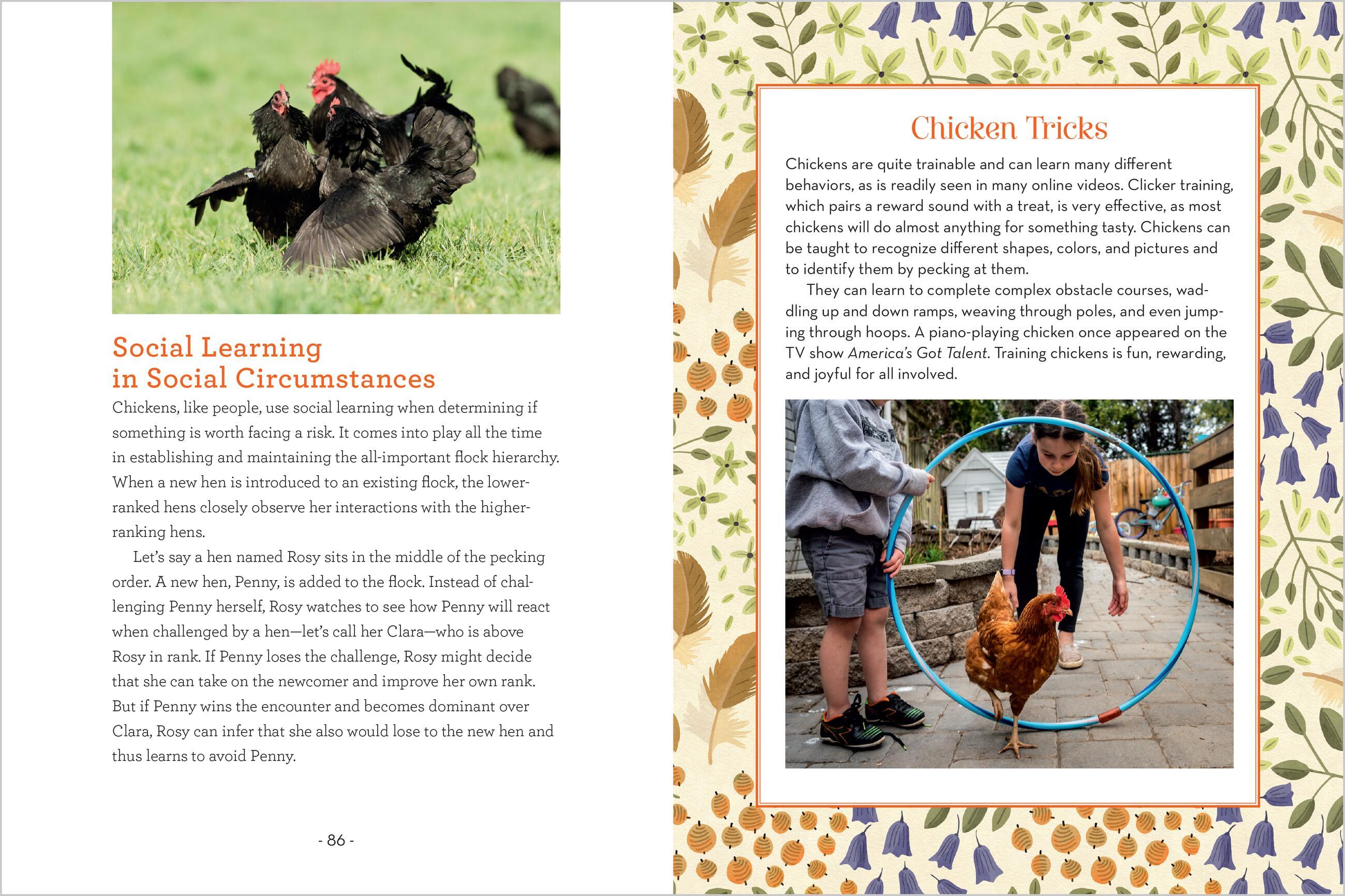 Beispielinhalt (Bild) How to Read a Chicken's Mind