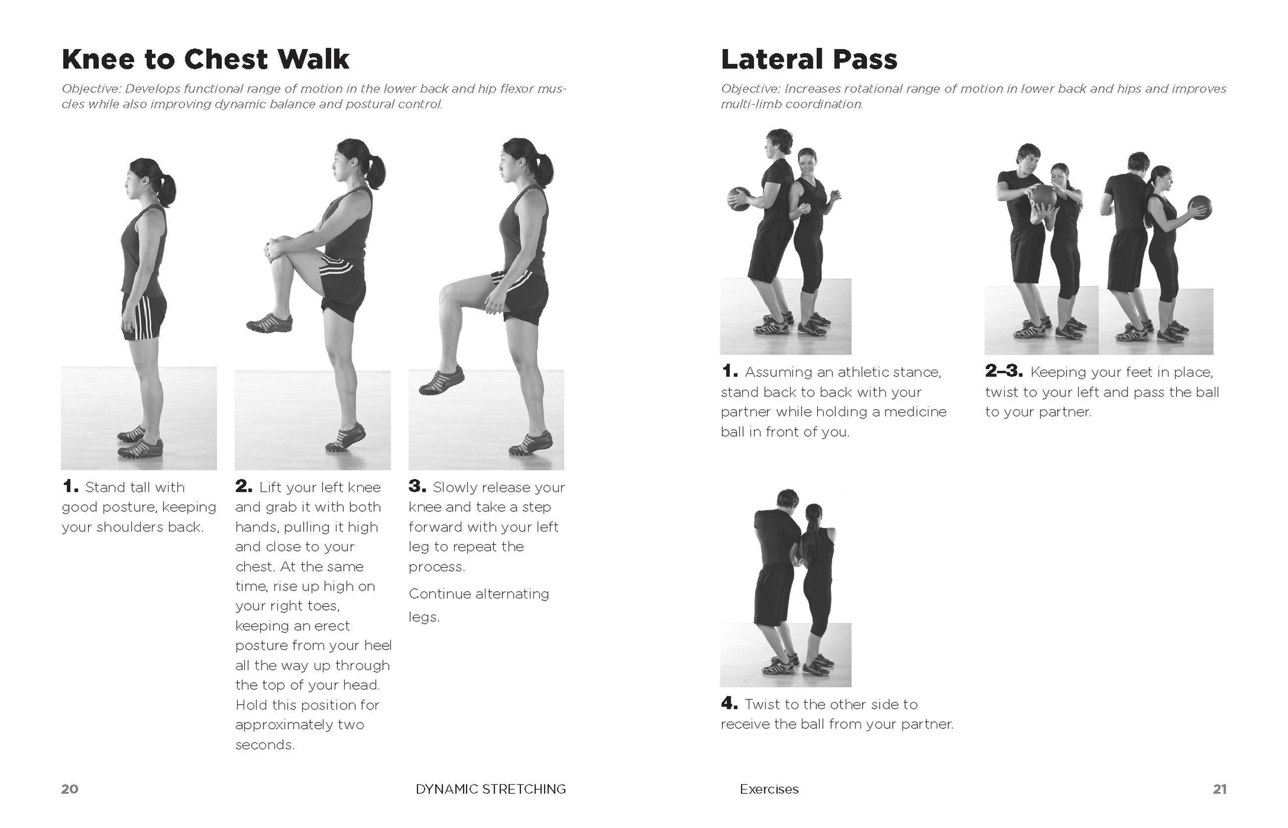 Beispielinhalt (Bild) Dynamic Stretching