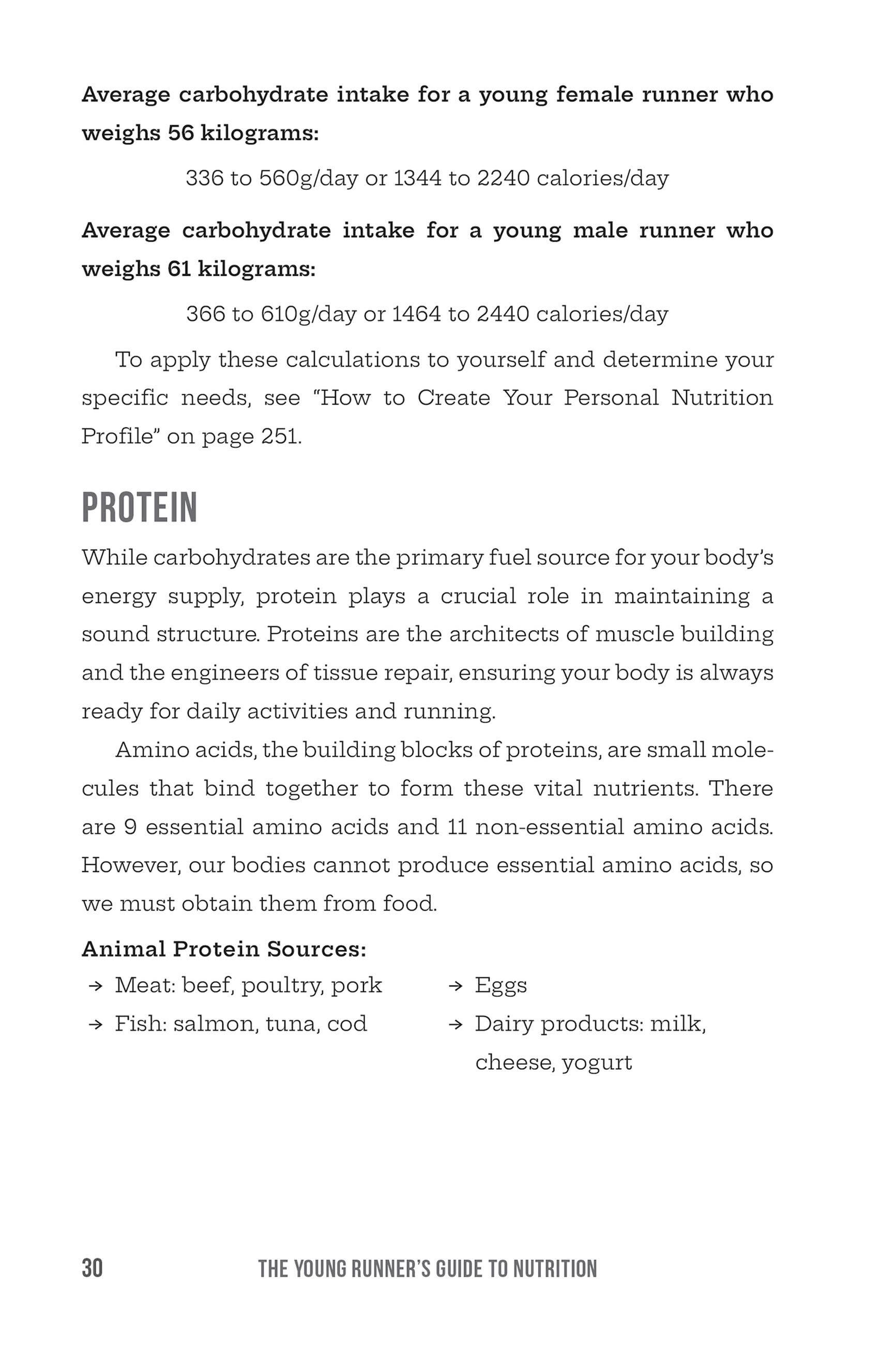 Beispielinhalt (Bild) The Young Runner's Guide to Nutrition