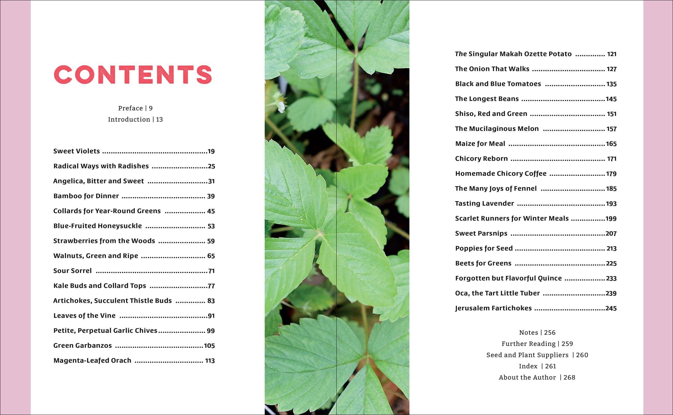 Beispielinhalt (Bild) The Curious Kitchen Gardener