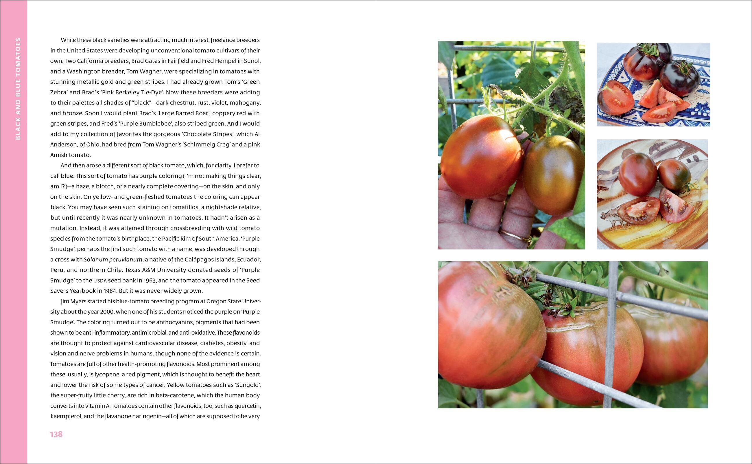 Beispielinhalt (Bild) The Curious Kitchen Gardener