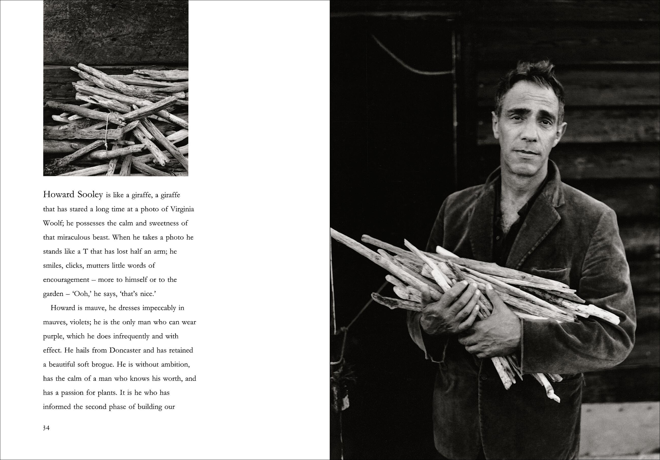 Beispielinhalt (Bild) Derek Jarman's Garden