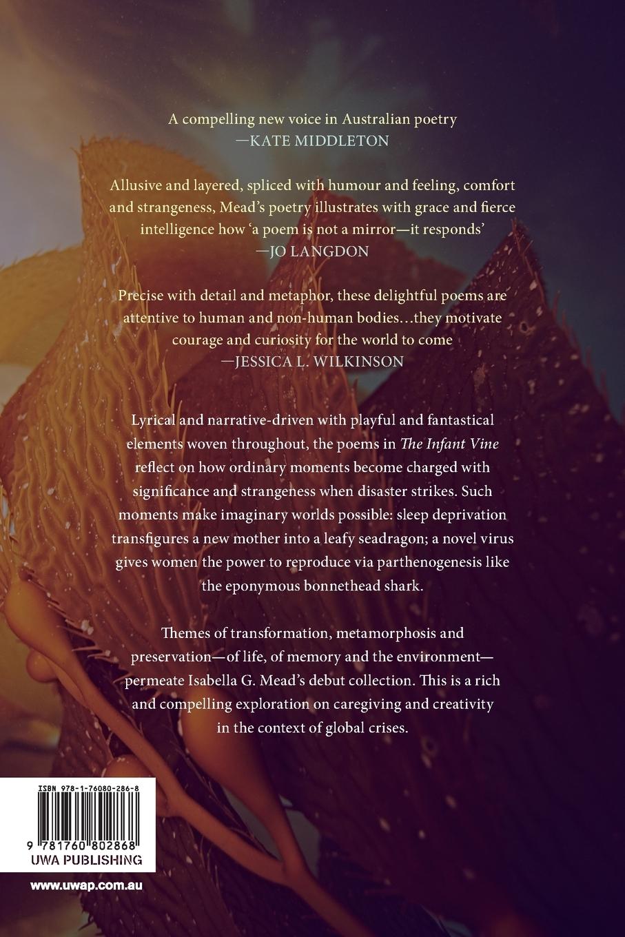 Rückseitencover The Infant Vine