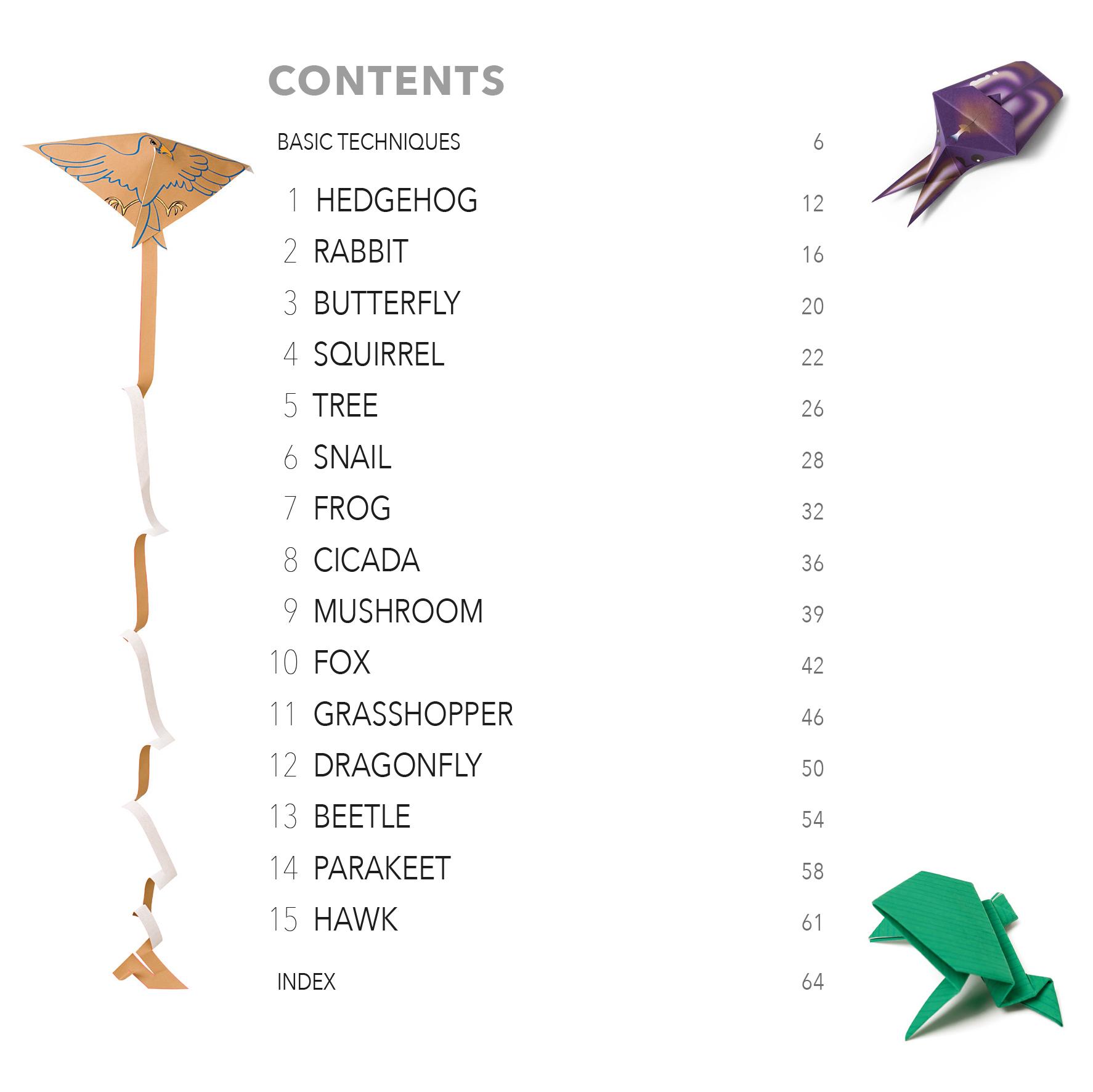 Beispielinhalt (Bild) Nature Origami