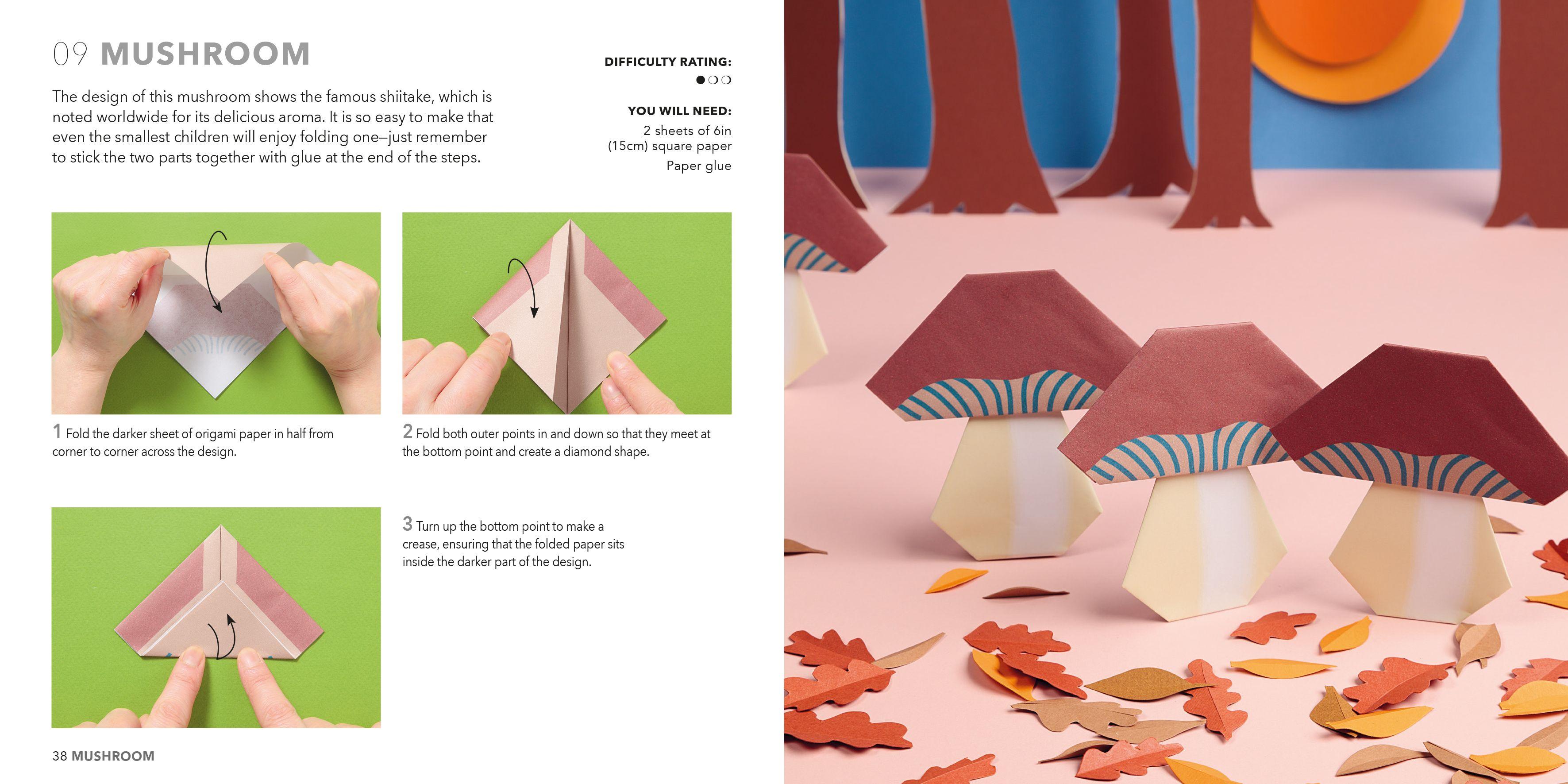 Beispielinhalt (Bild) Nature Origami