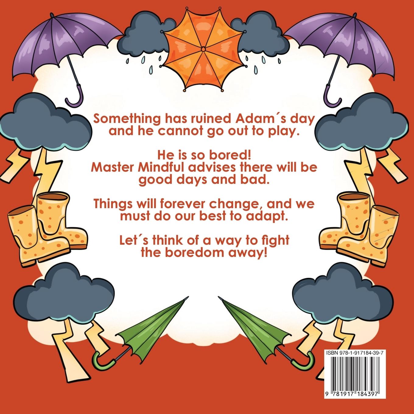 Rückseitencover Master Mindful