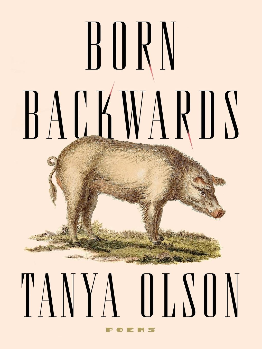 Vorderes Coverbild Born Backwards