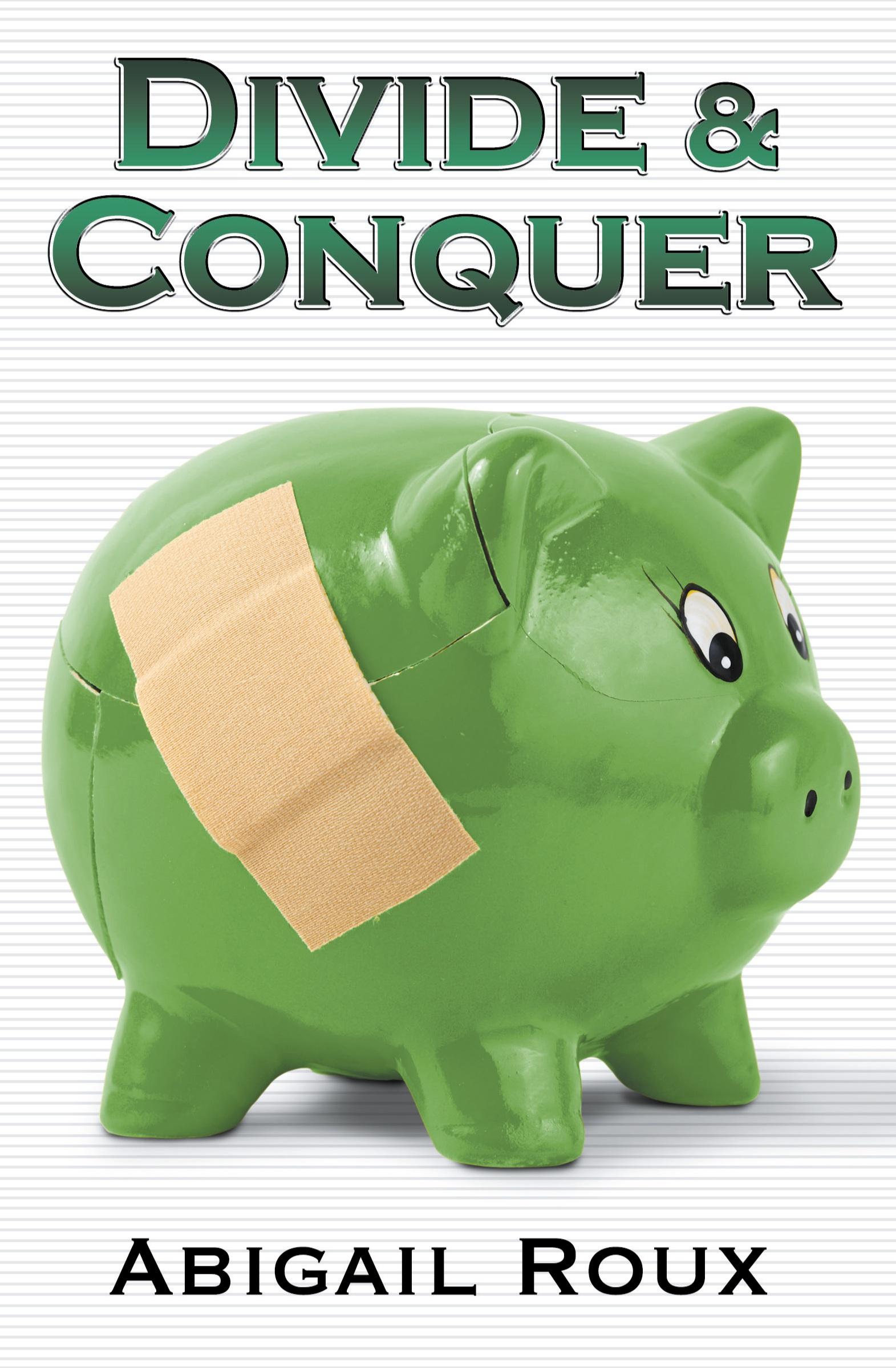 Vorderes Coverbild Divide & Conquer