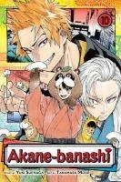 Vorderes Coverbild Akane-Banashi, Vol. 10