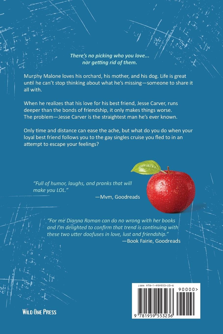 Rückseitencover The Idiot