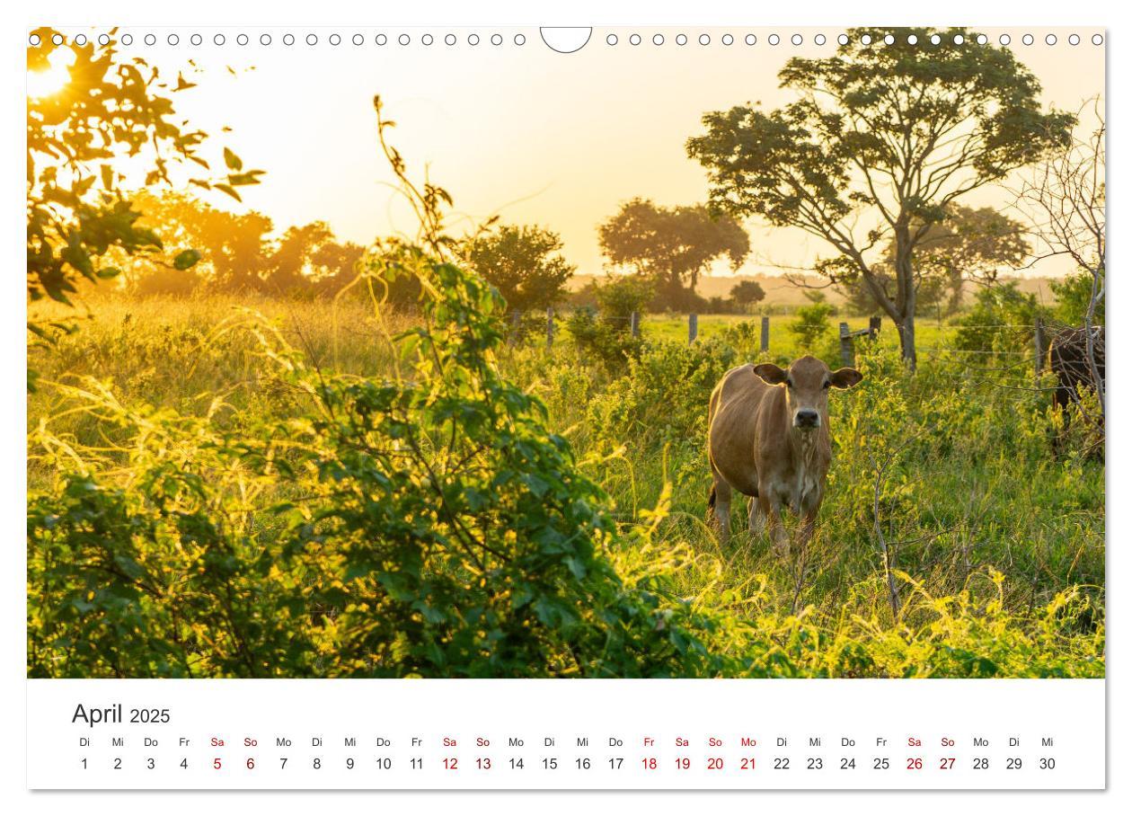Beispielinhalt (Bild) Bolivien - Das bezaubernde Land in Südamerika. (Wandkalender 2025 DIN A3 quer), CALVENDO Monatskalender