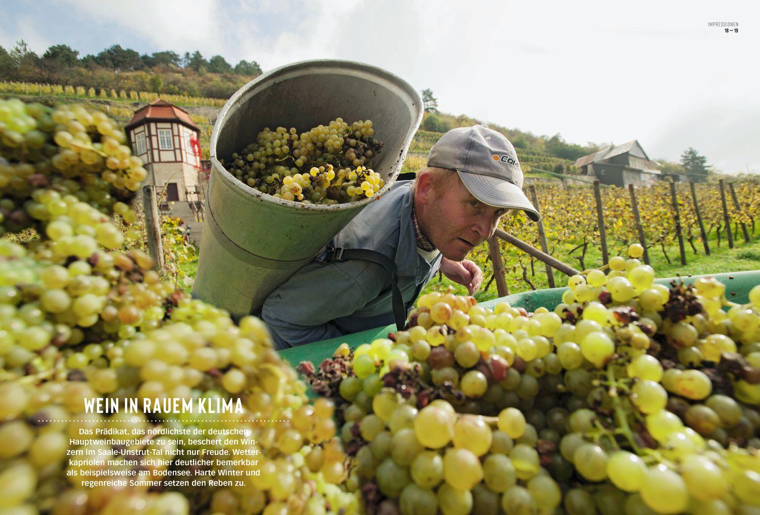 Beispielinhalt (Bild) DUMONT Bildatlas Leipzig, Halle