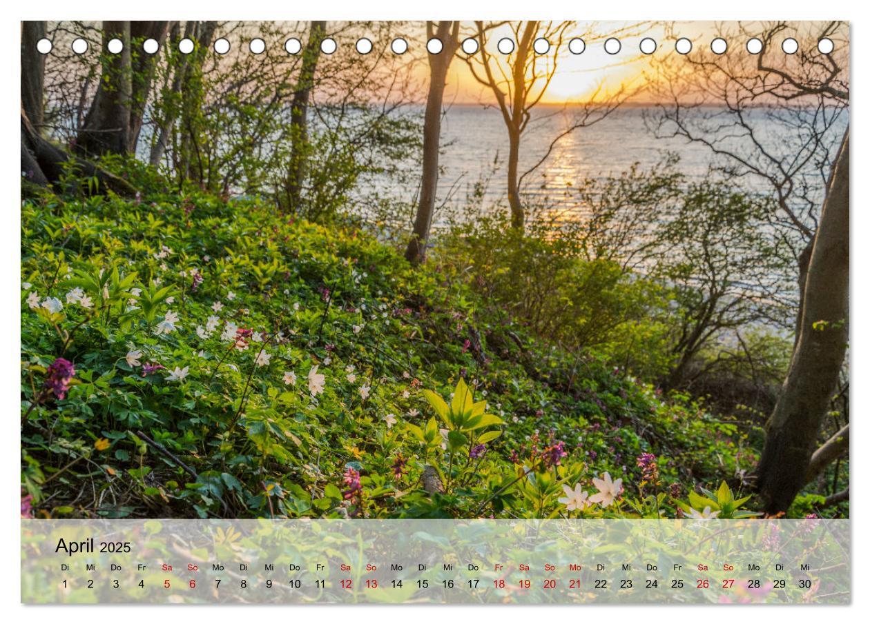 Beispielinhalt (Bild) Ostseeküste Schwedeneck 2025 (Tischkalender 2025 DIN A5 quer), CALVENDO Monatskalender