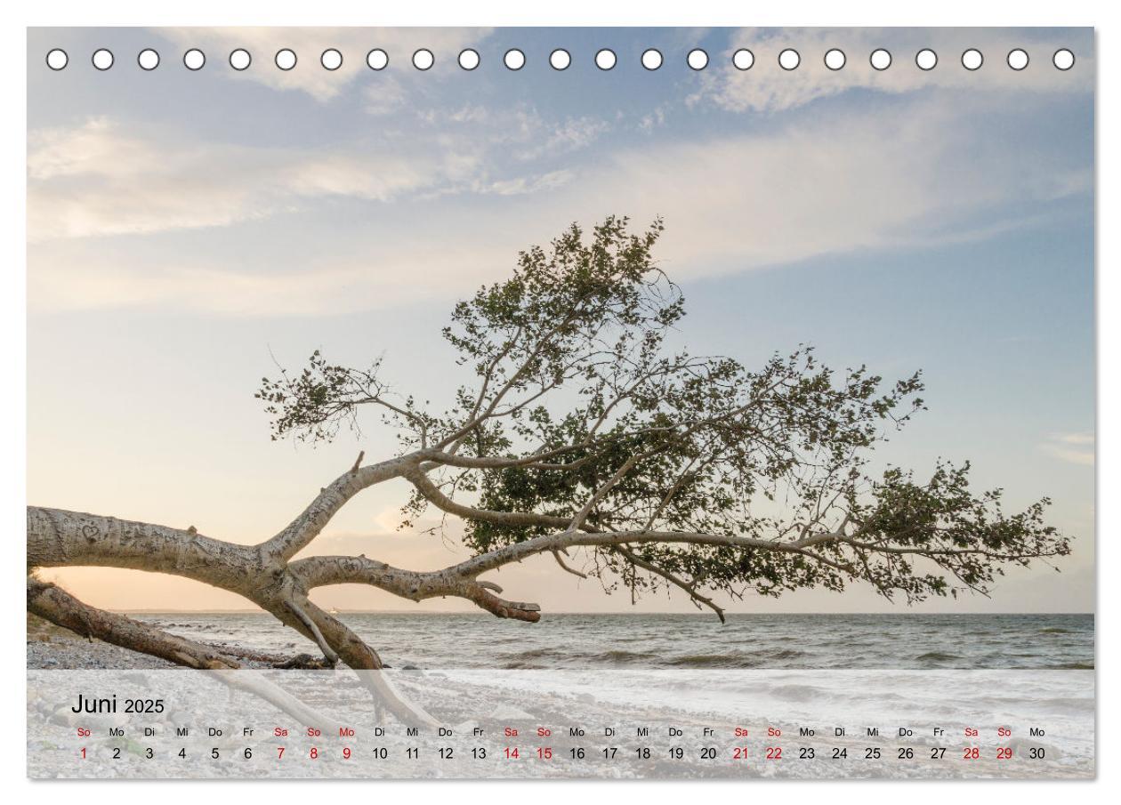 Beispielinhalt (Bild) Ostseeküste Schwedeneck 2025 (Tischkalender 2025 DIN A5 quer), CALVENDO Monatskalender
