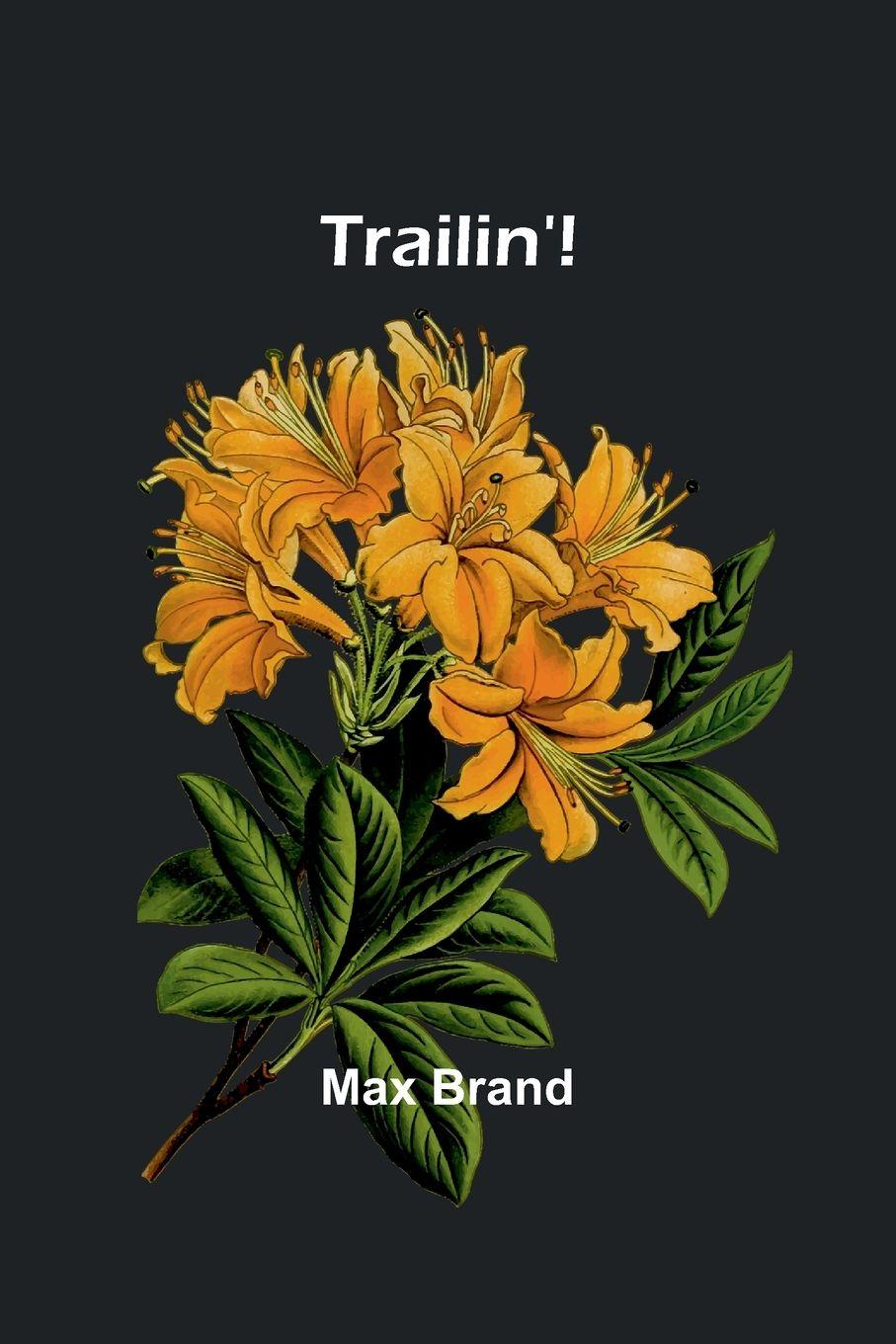Vorderes Coverbild Trailin'!