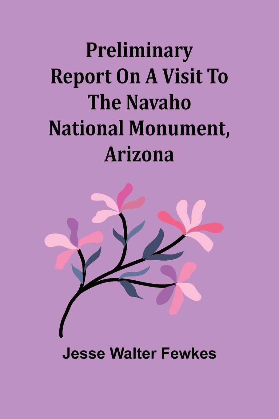 Vorderes Coverbild Preliminary report on a visit to the Navaho National Monument, Arizona