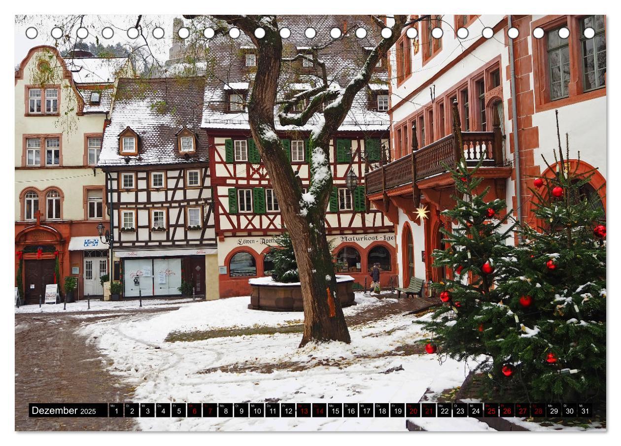 Beispielinhalt (Bild) Weinheim - Stadt unter den zwei Burgen (Tischkalender 2025 DIN A5 quer), CALVENDO Monatskalender