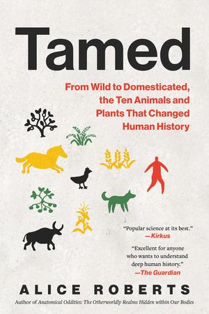 Vorderes Coverbild Tamed