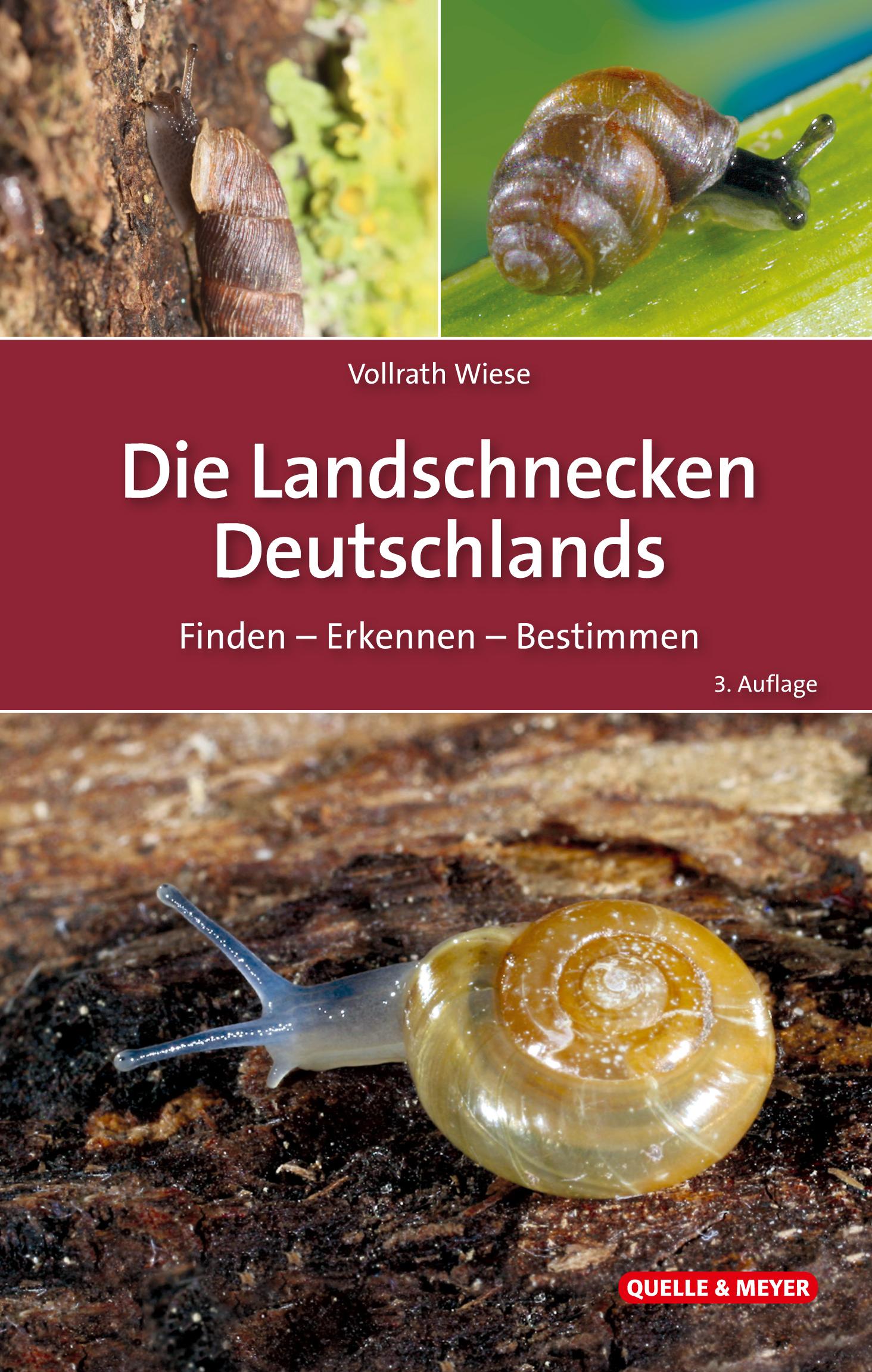 Vorderes Coverbild Die Landschnecken Deutschlands