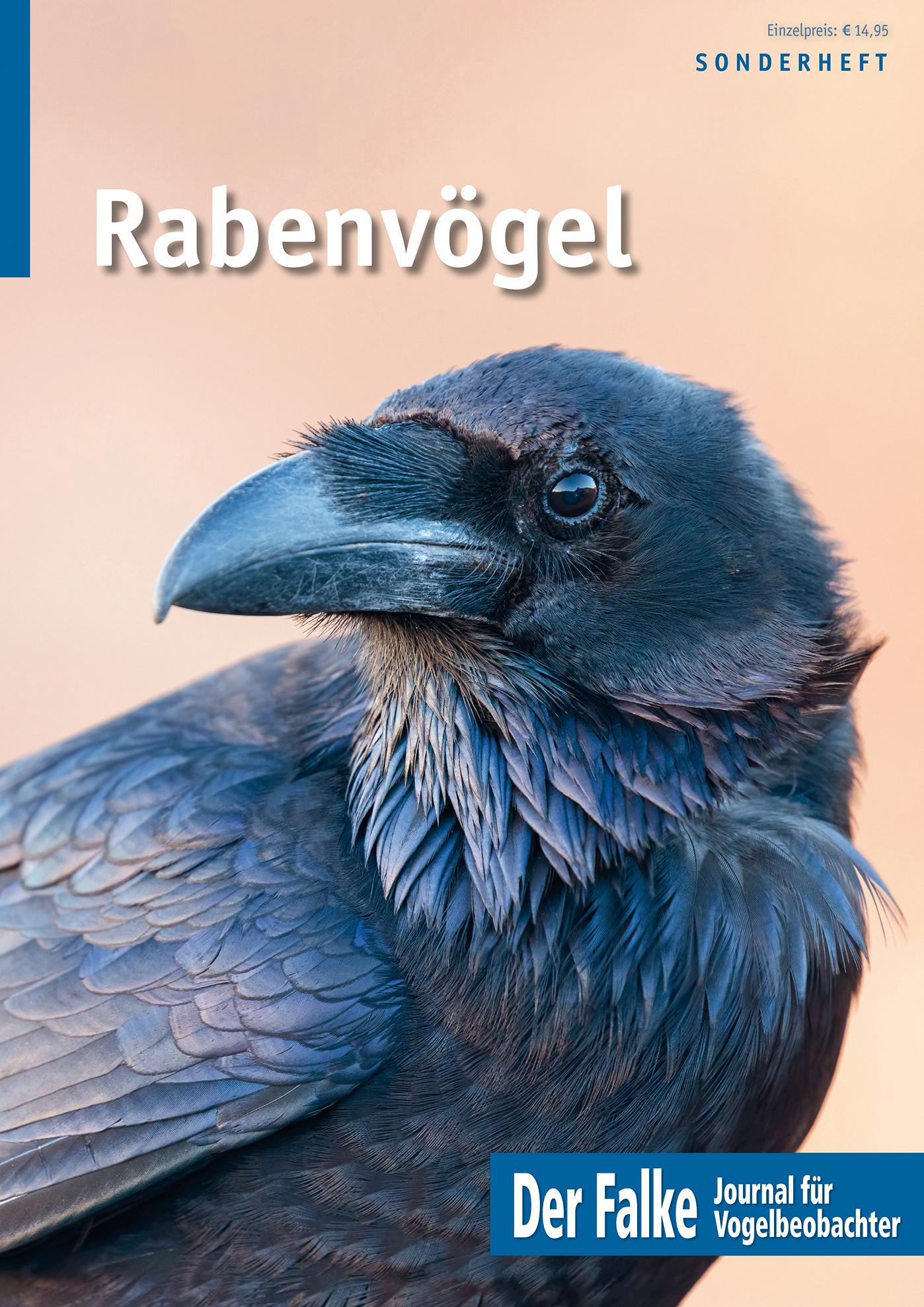 Vorderes Coverbild Rabenvögel