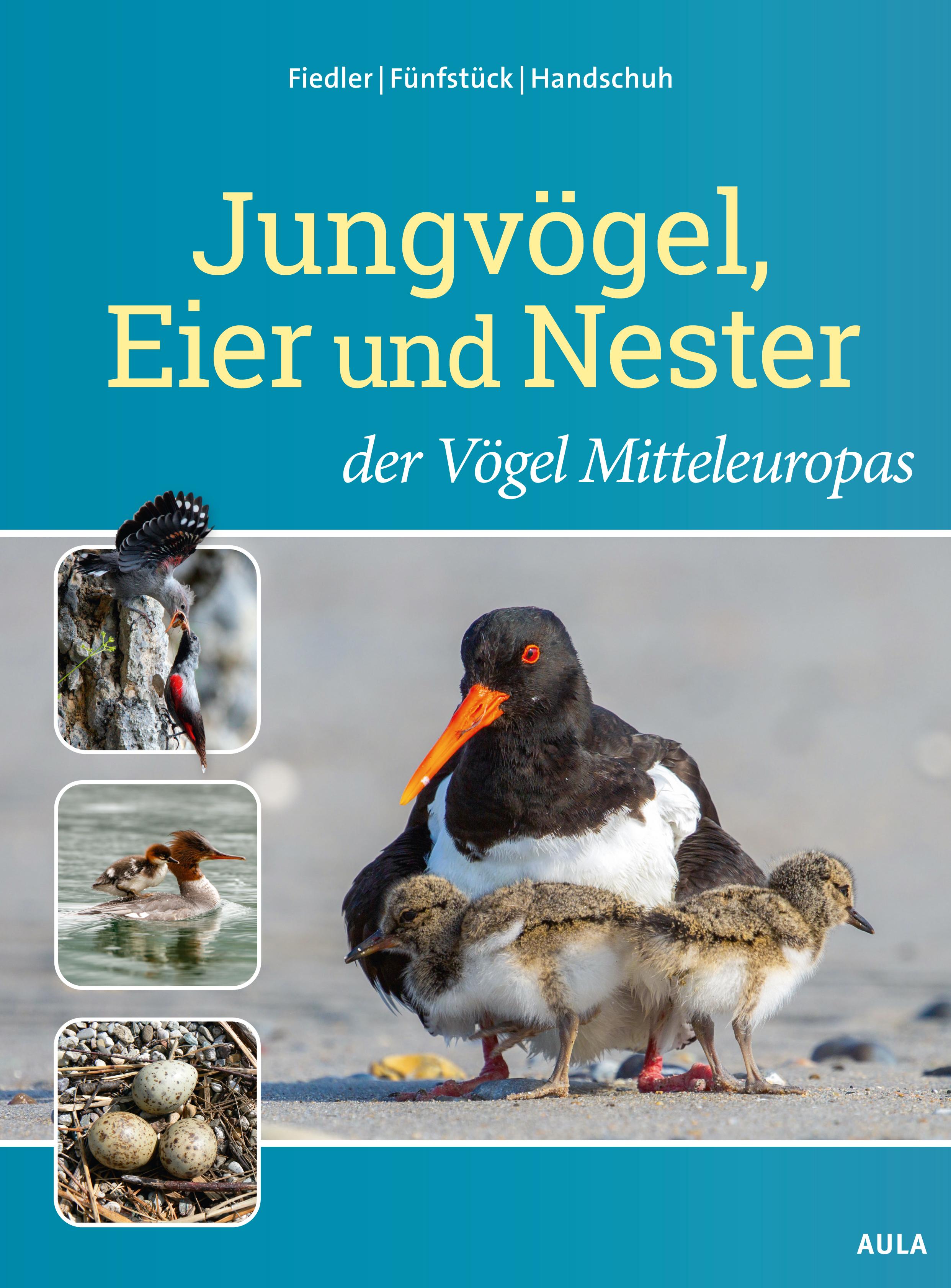Vorderes Coverbild Jungvögel, Eier und Nester der Vögel Mitteleuropas