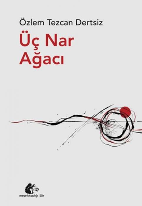 Vorderes Coverbild Üc Nar Agaci