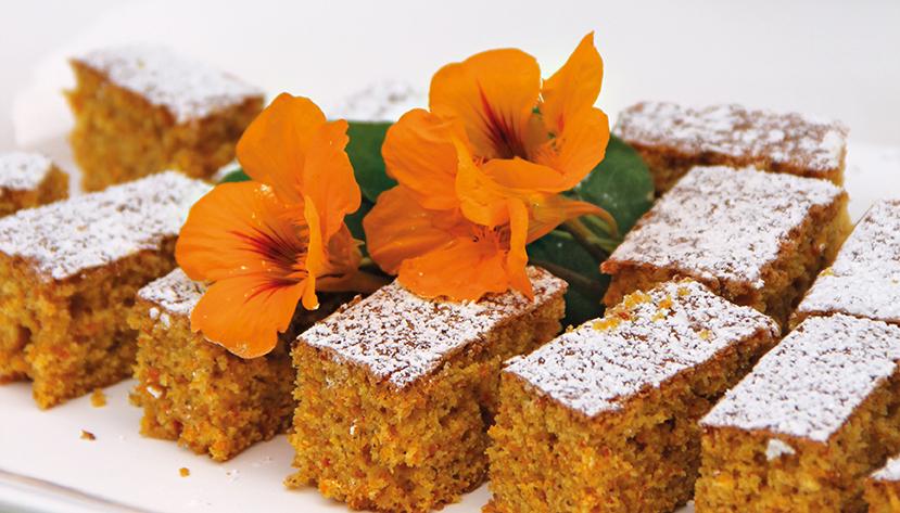 Beispielinhalt (Bild) Kürbisrezepte