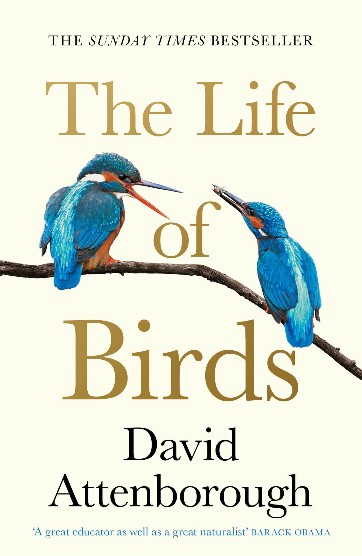 Vorderes Coverbild The Life of Birds