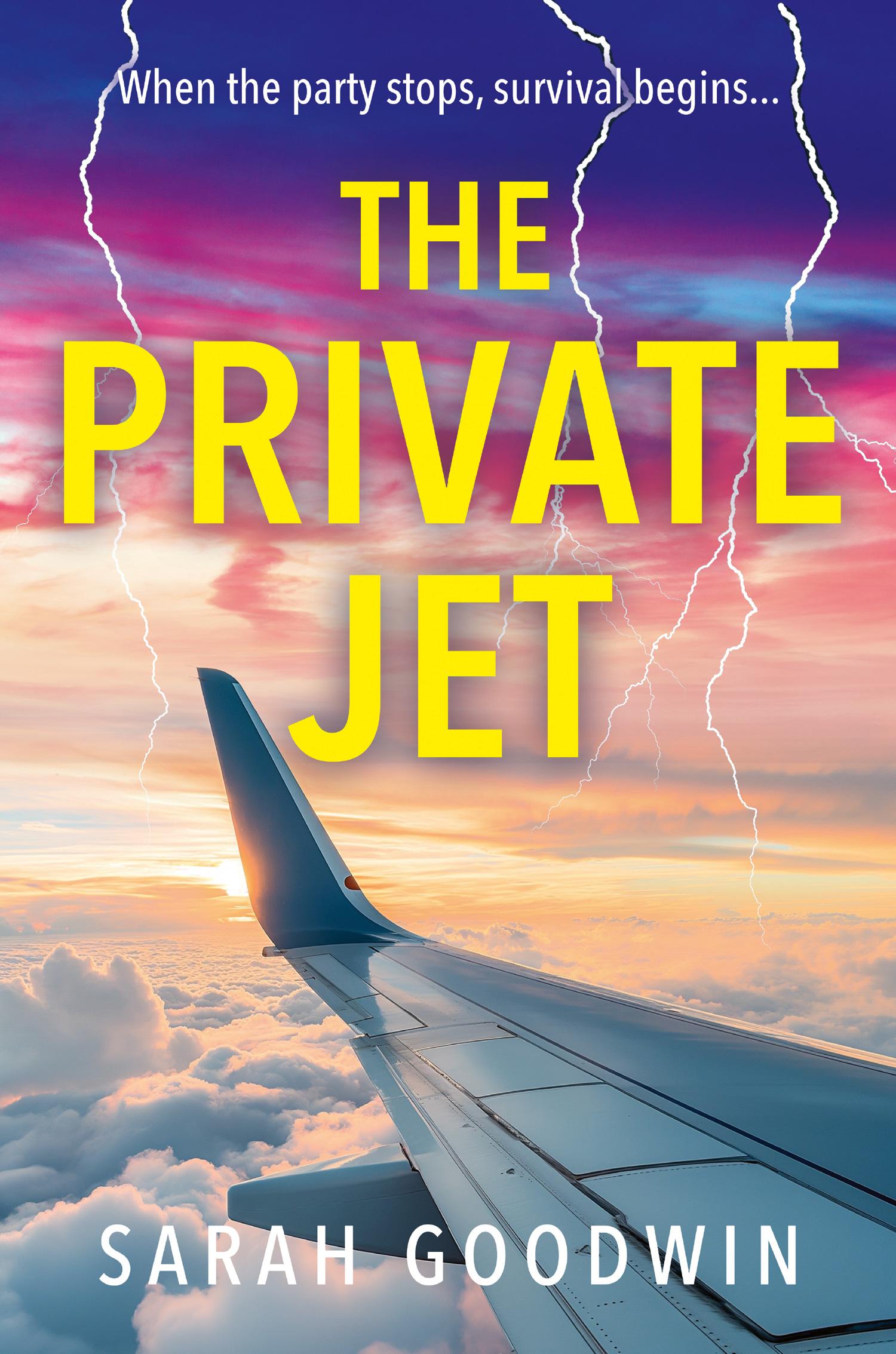 Vorderes Coverbild The Private Jet