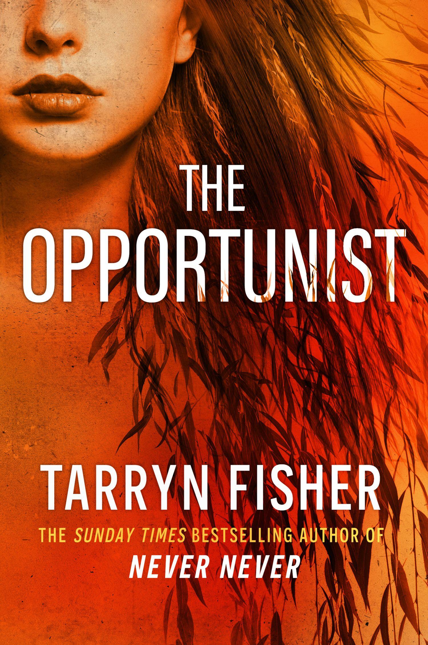 Vorderes Coverbild The Opportunist