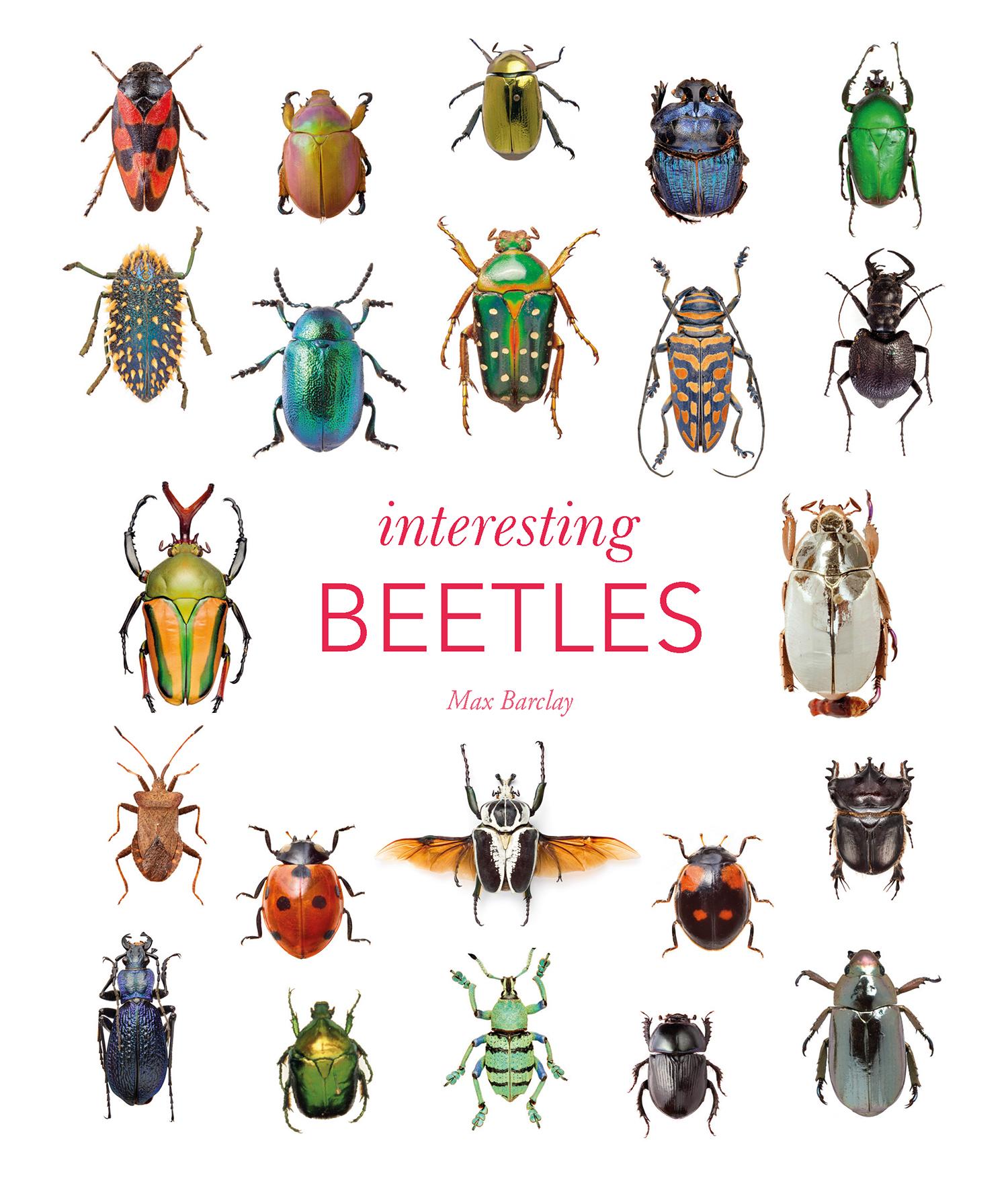 Vorderes Coverbild Interesting Beetles