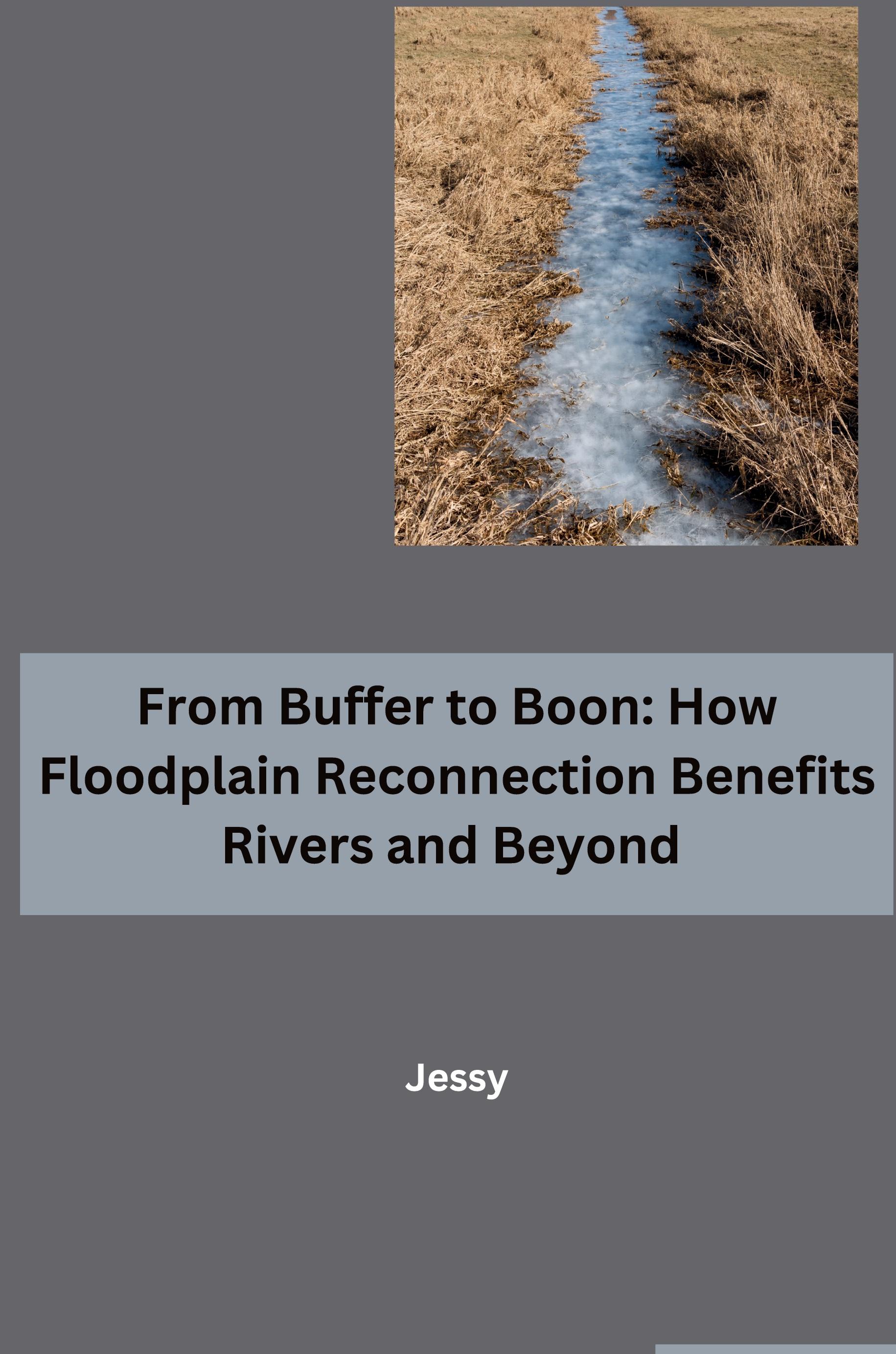 Vorderes Coverbild From Buffer to Boon: How Floodplain Reconnection Benefits Rivers and Beyond