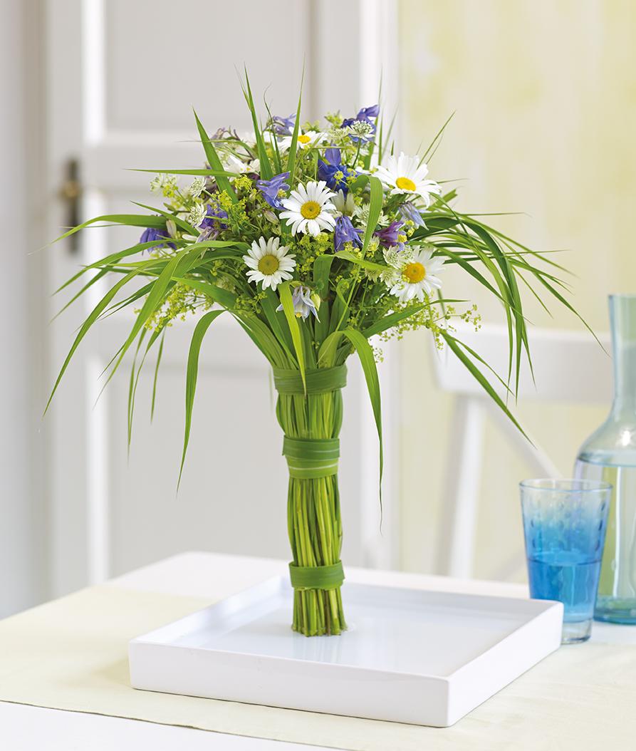 Beispielinhalt (Bild) Das ist Floristik!