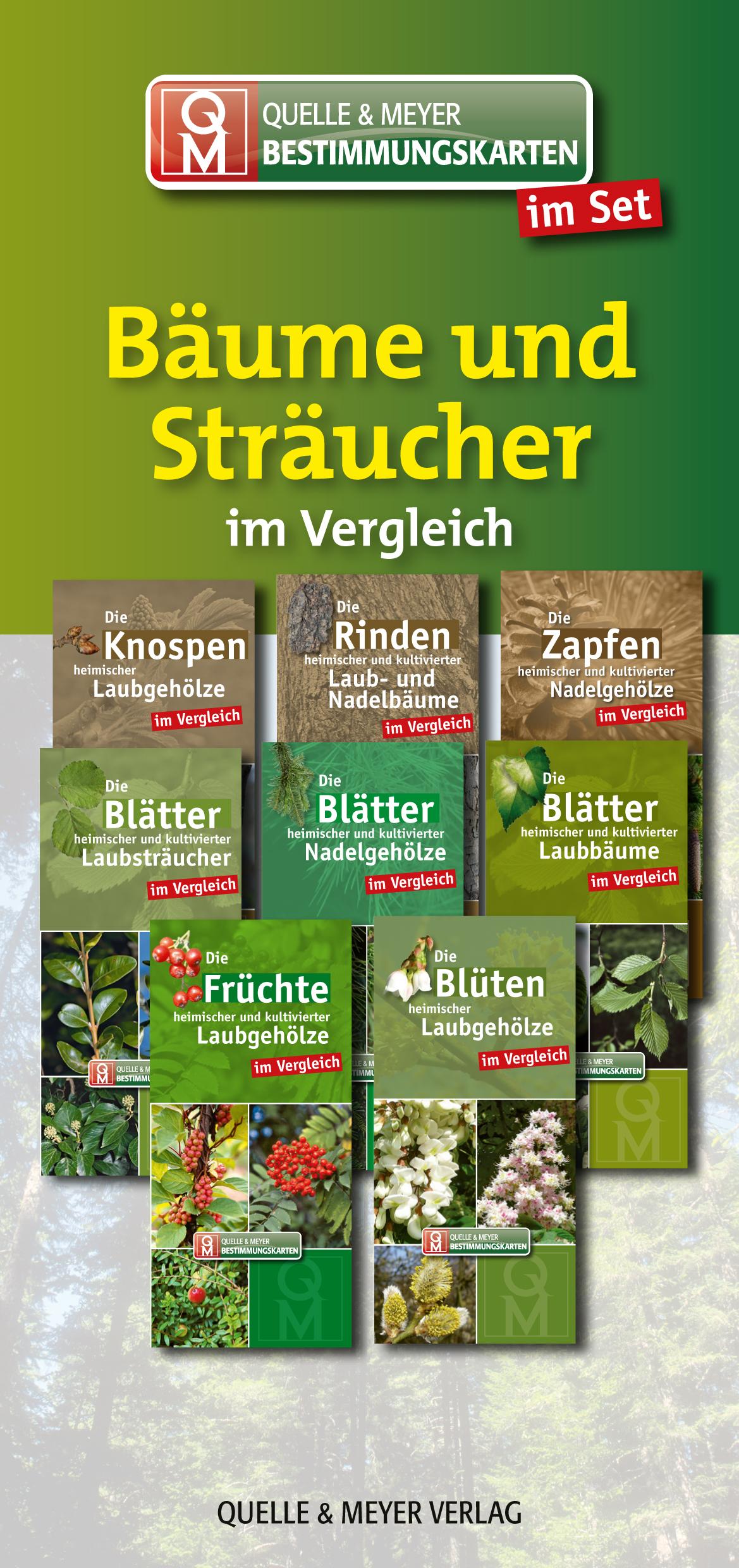 Vorderes Coverbild Bestimmungskarten-Set "Bäume und Sträucher"
