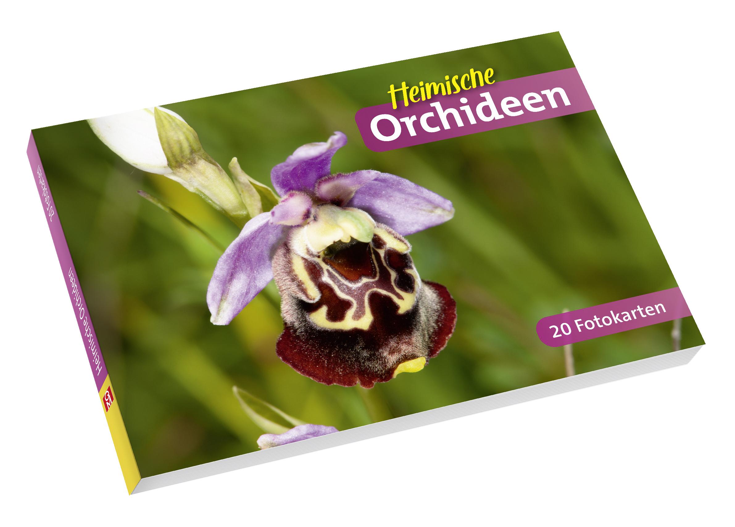Vorderes Coverbild Heimische Orchideen
