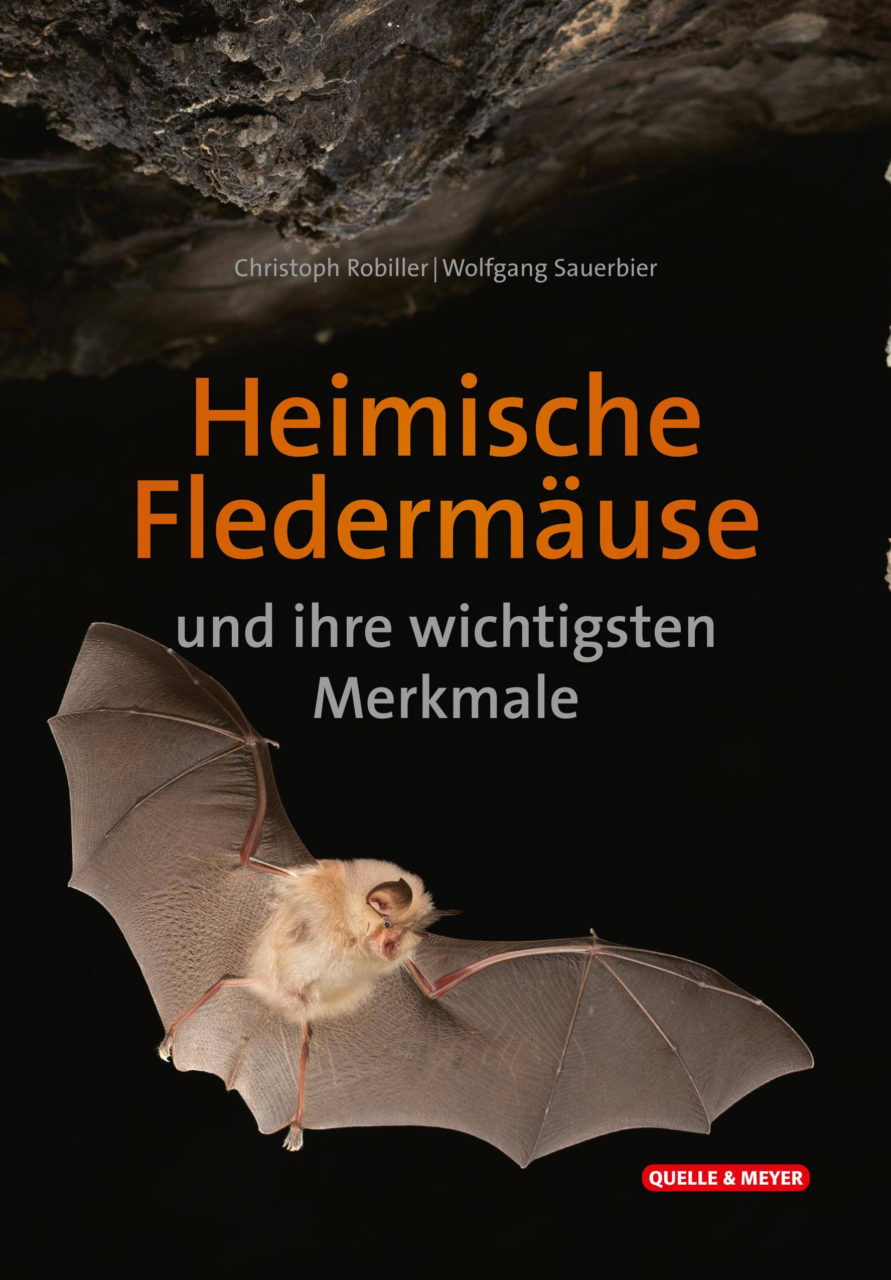Vorderes Coverbild Heimische Fledermäuse und ihre wichtigsten Merkmale