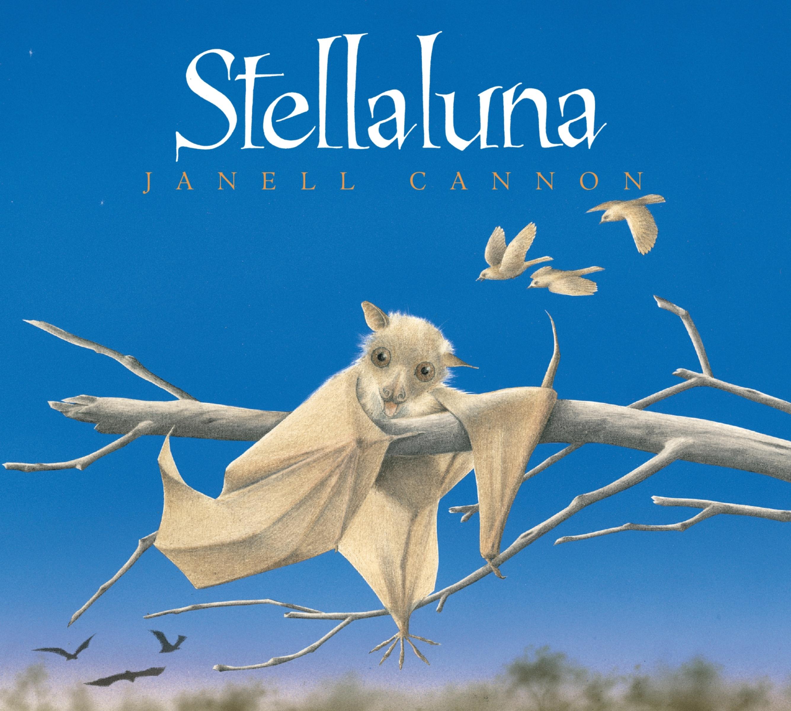 Vorderes Coverbild Stellaluna Board Book