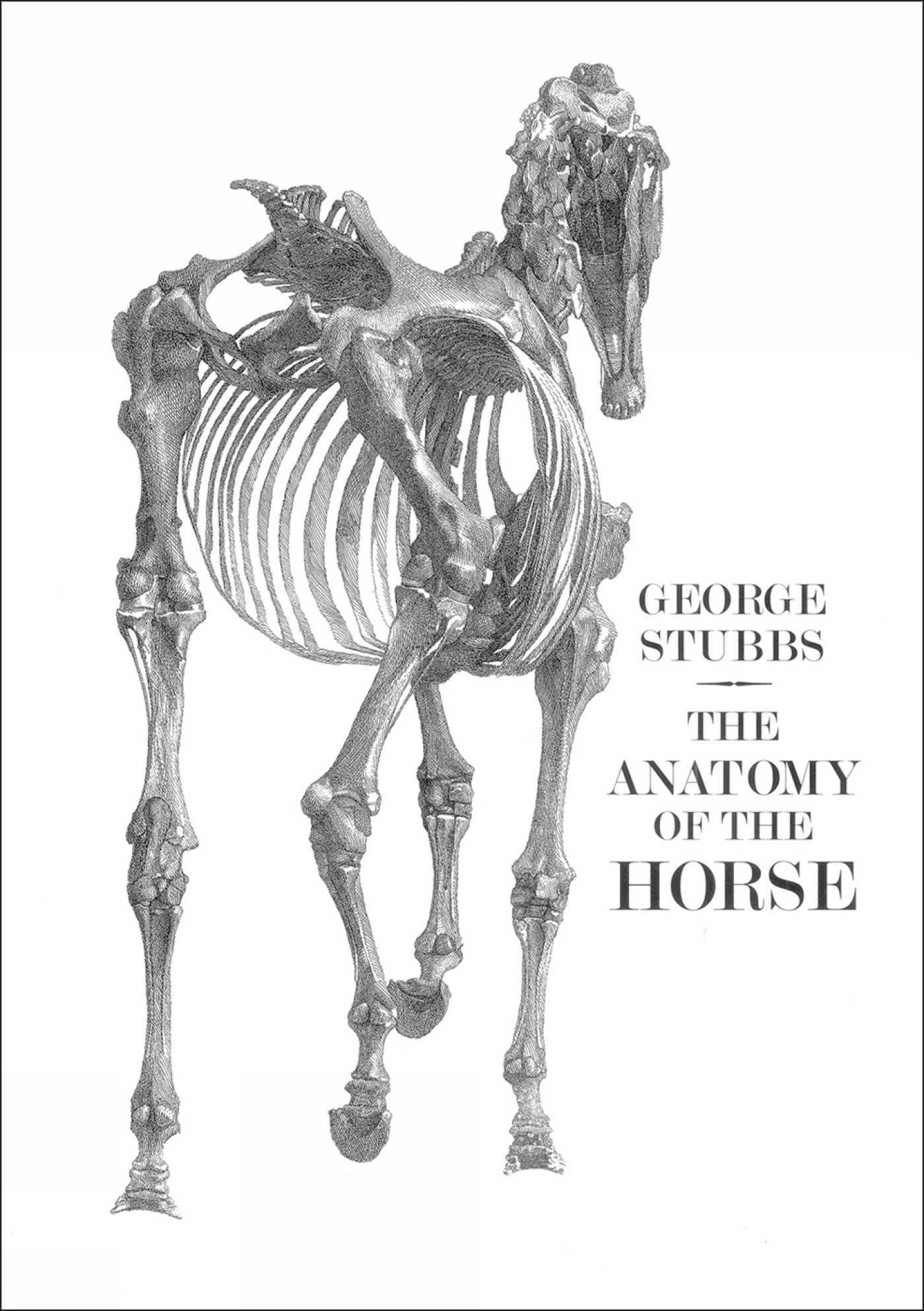 Vorderes Coverbild The Anatomy of the Horse