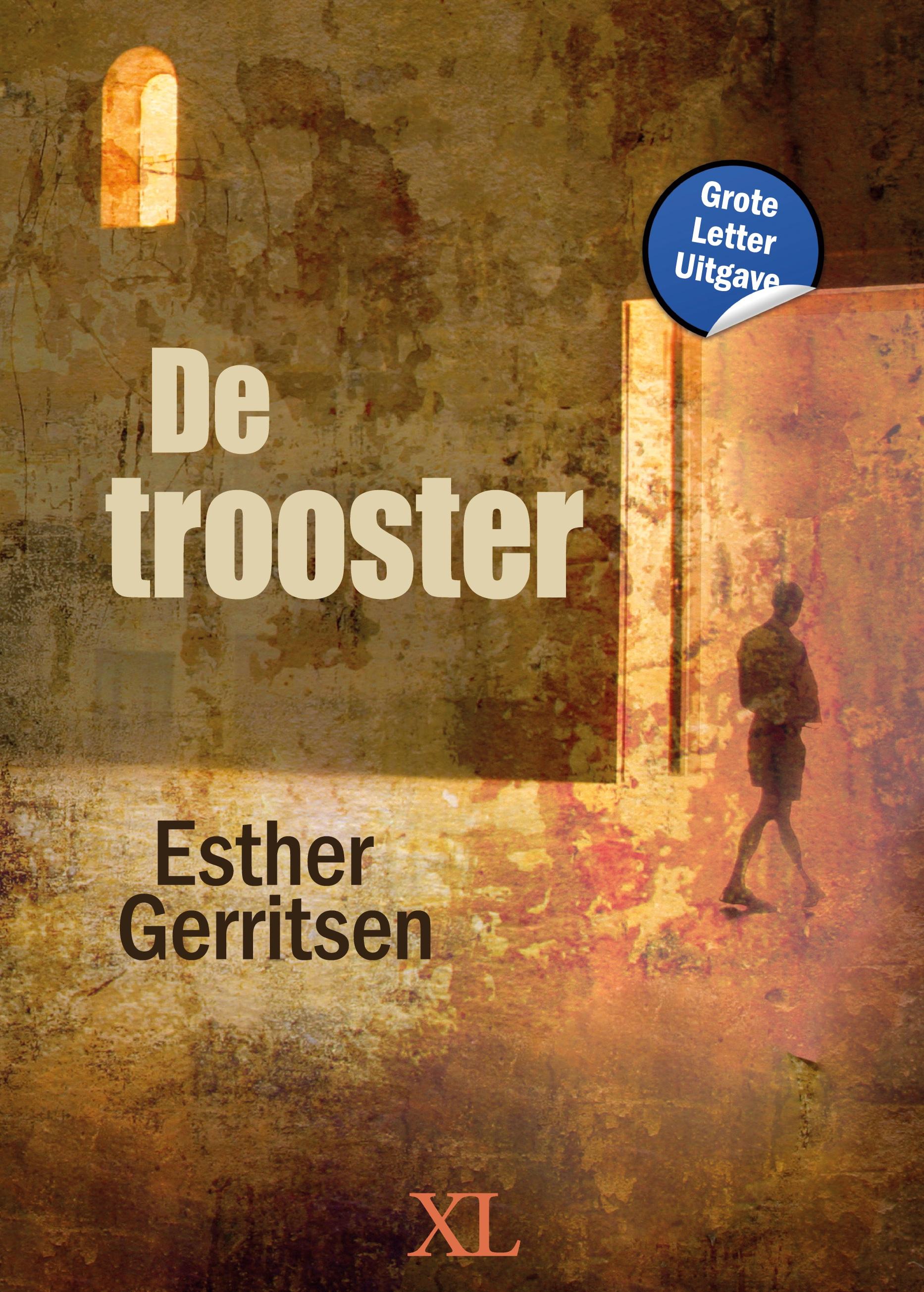 Vorderes Coverbild De trooster