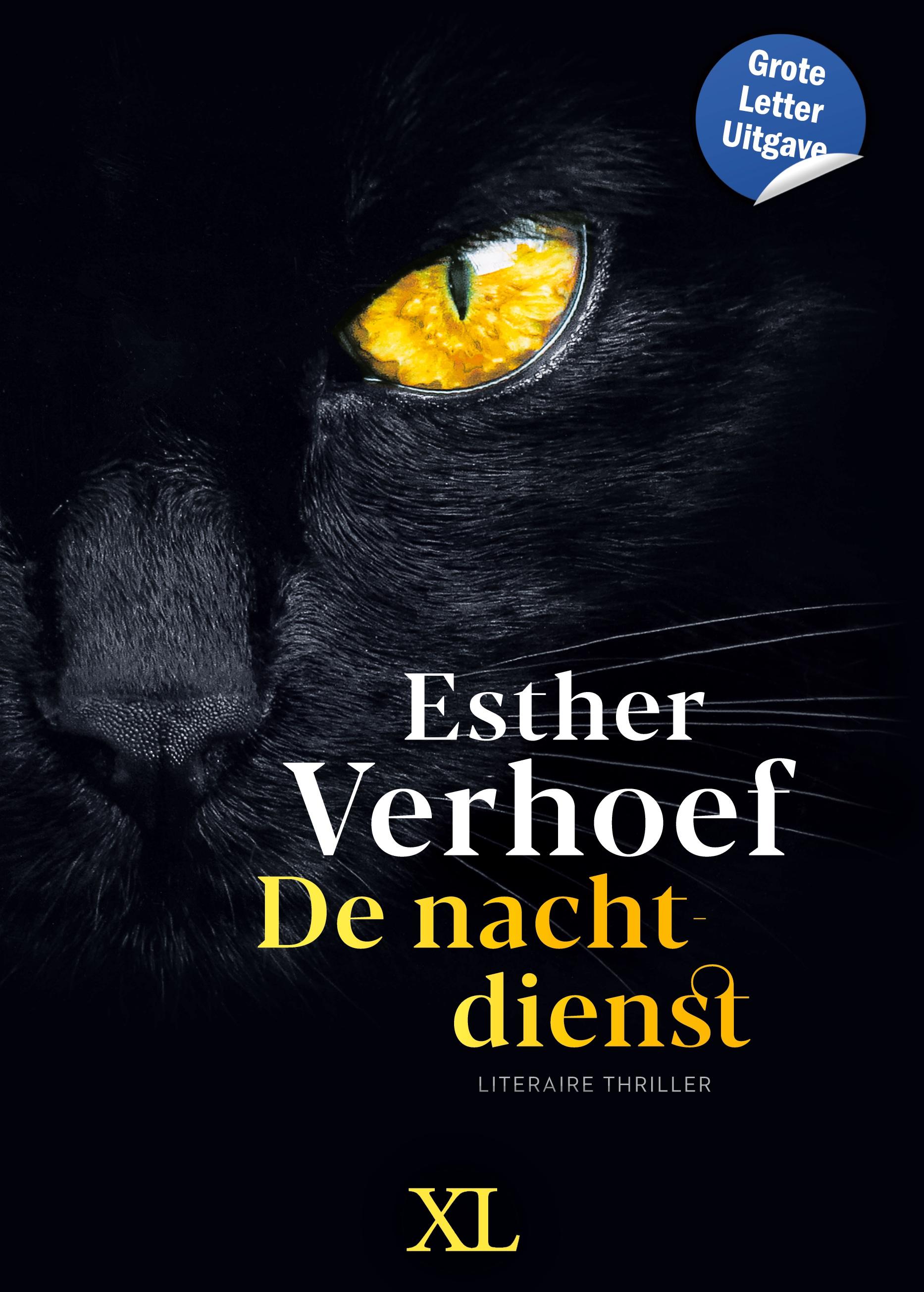 Vorderes Coverbild De nachtdienst
