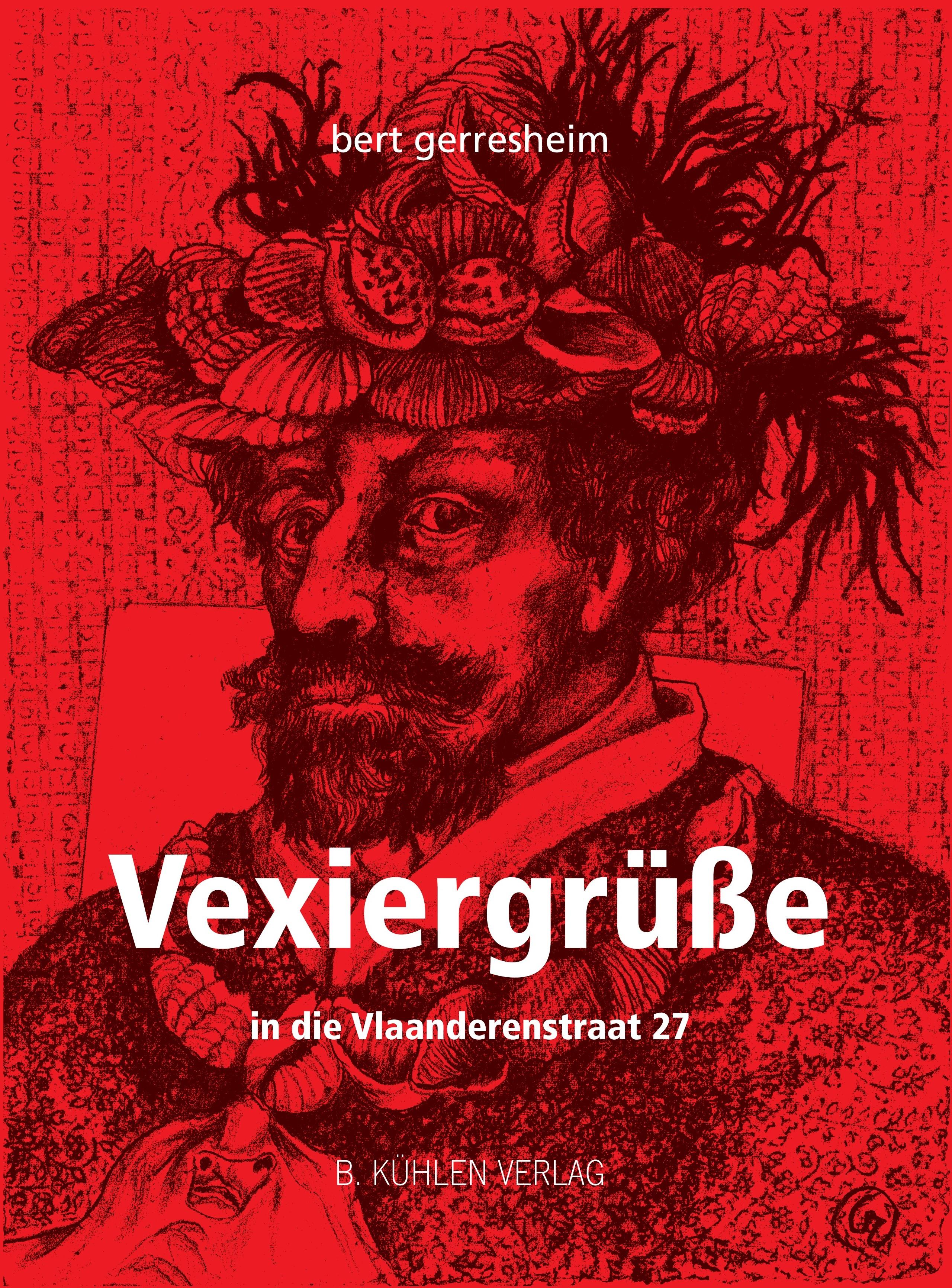 Vorderes Coverbild Vexiergrüße in die Vlaanderensstraat 27