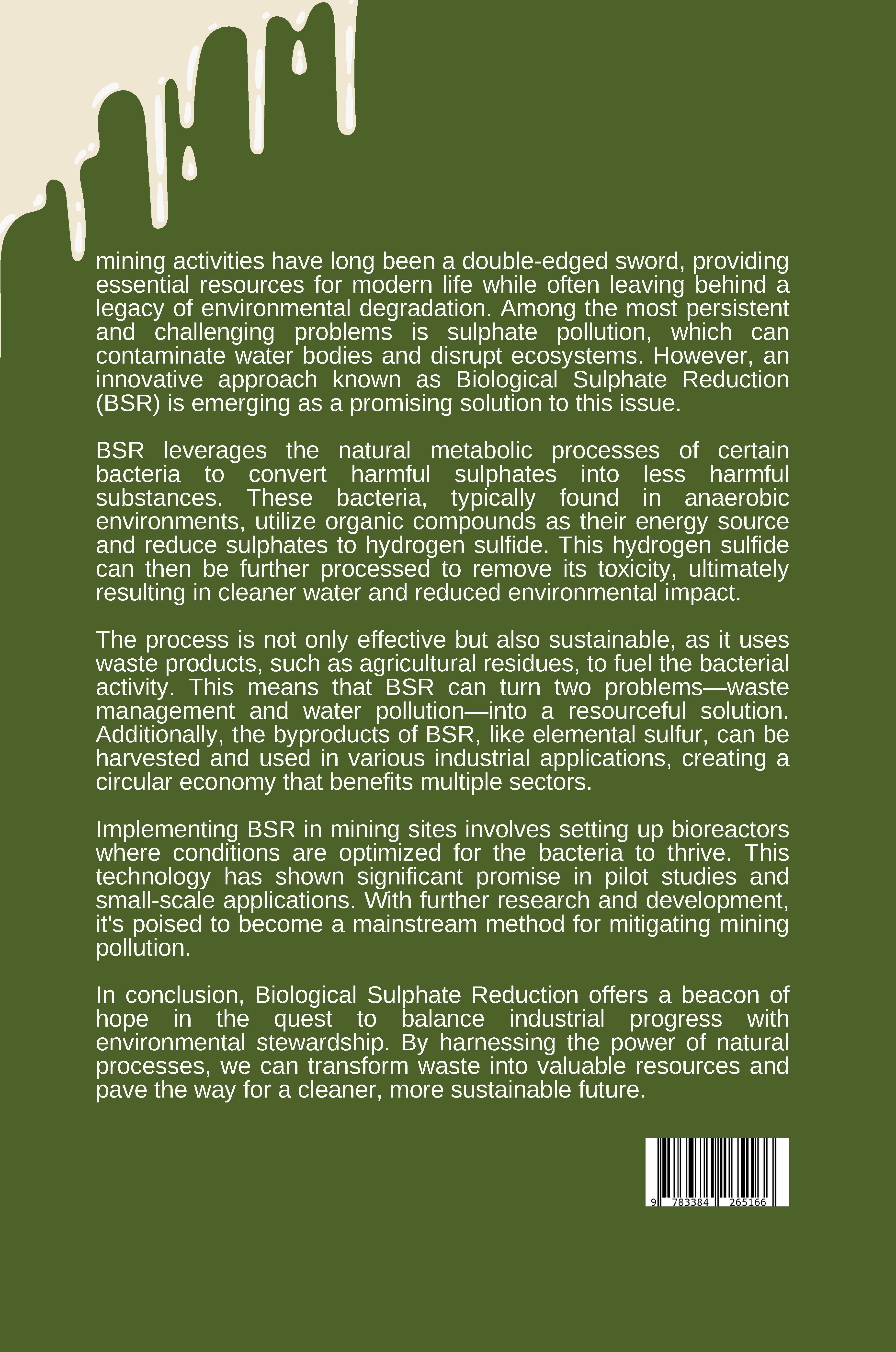 Rückseitencover The Double-Edged Sword: Mineral and Coal Mining's Impact on Modern Life and the Environment