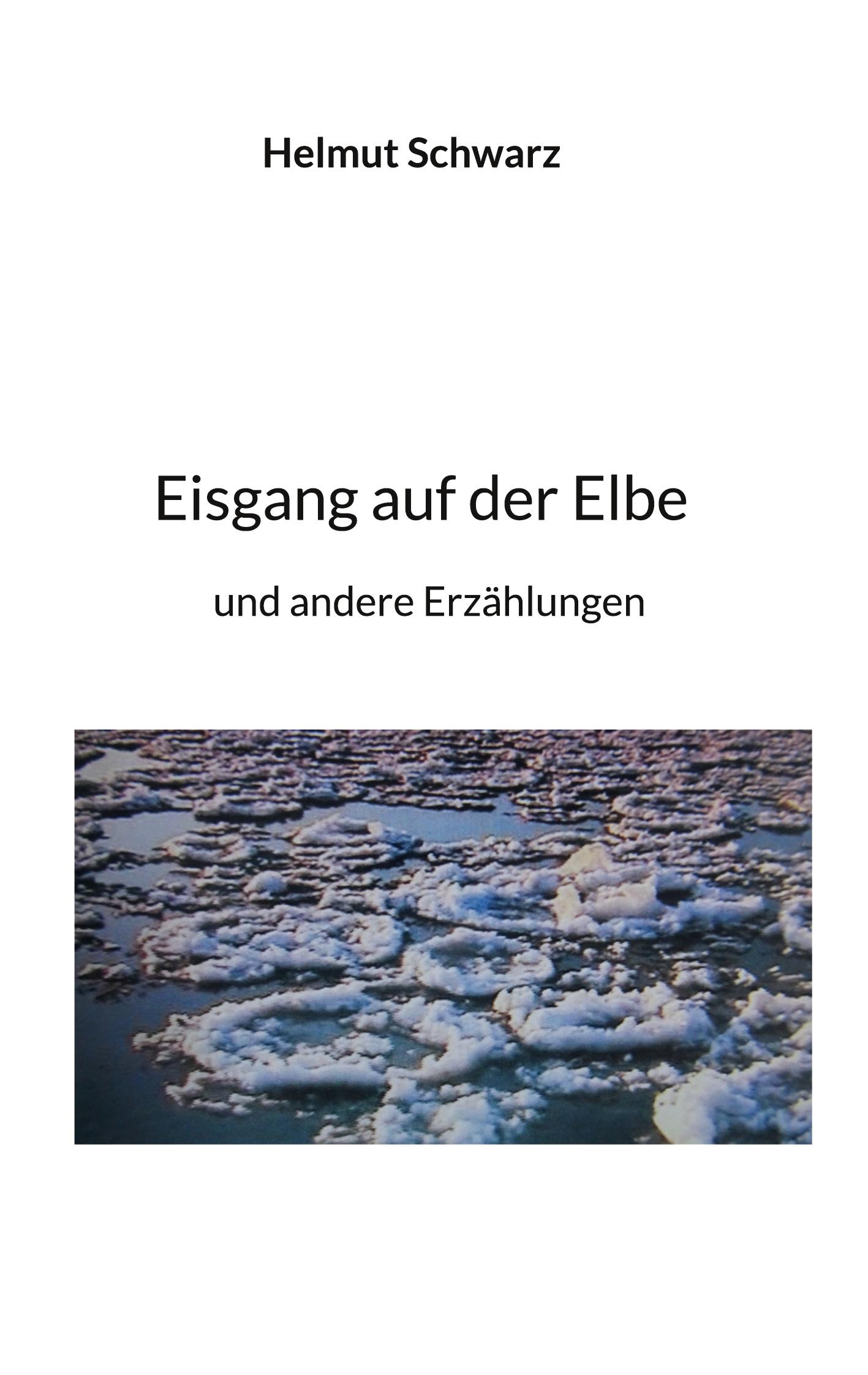Vorderes Coverbild Eisgang auf der Elbe