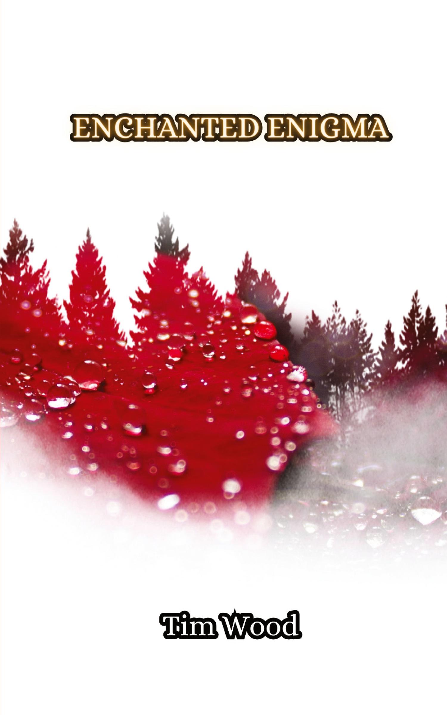 Vorderes Coverbild Enchanted Enigma