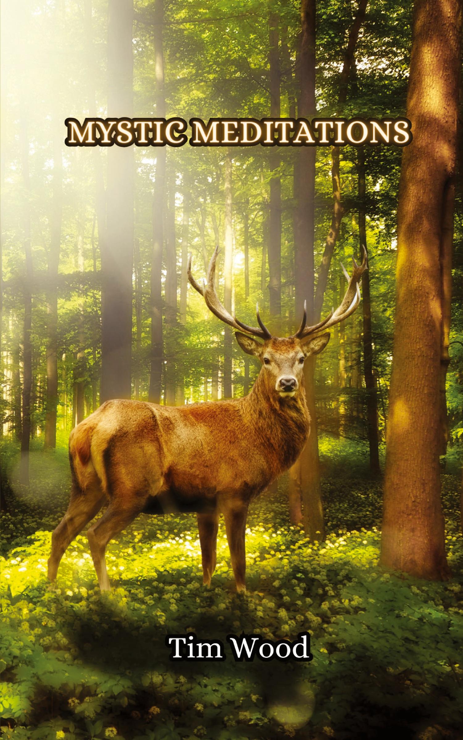 Vorderes Coverbild Mystic Meditations