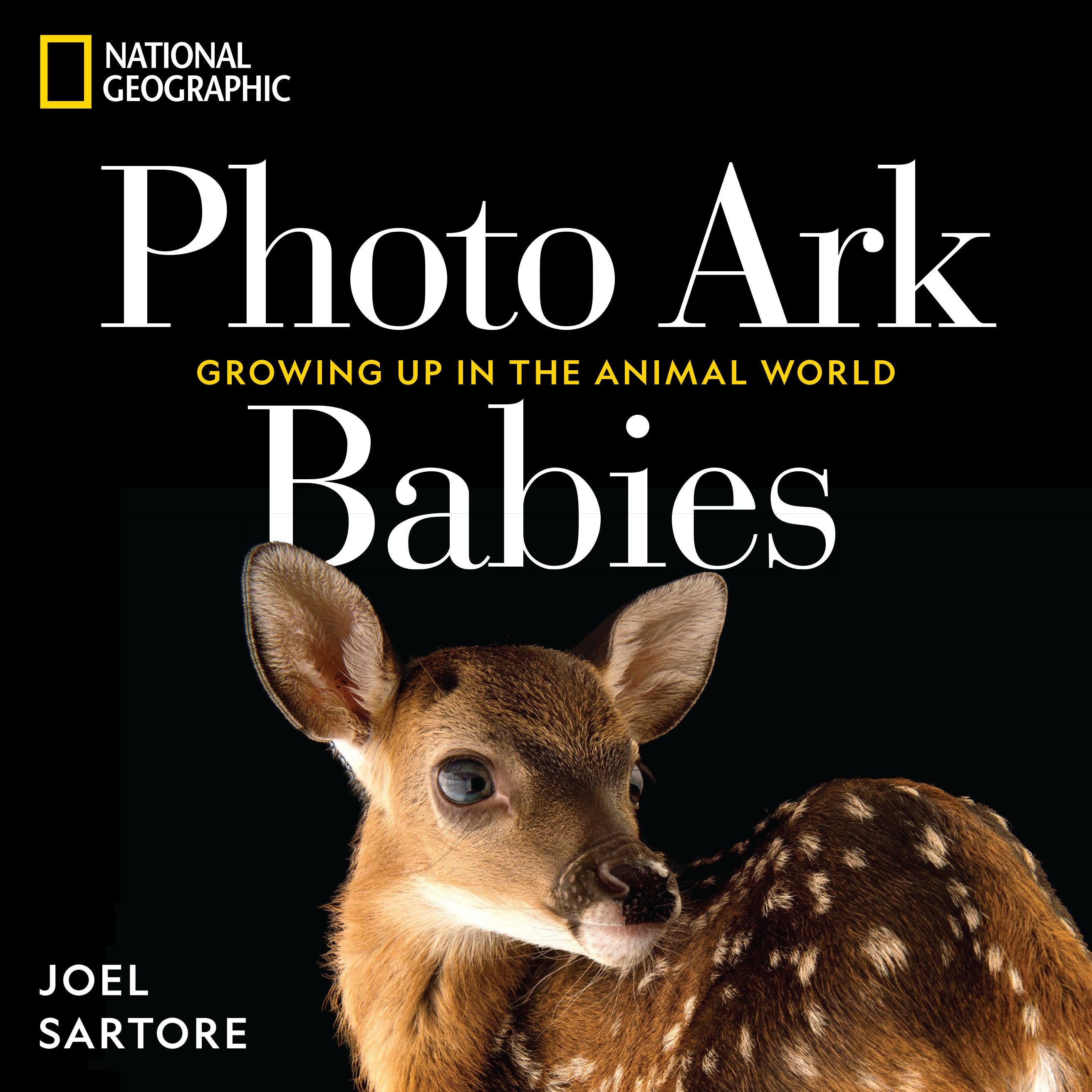 Vorderes Coverbild National Geographic Photo Ark Babies
