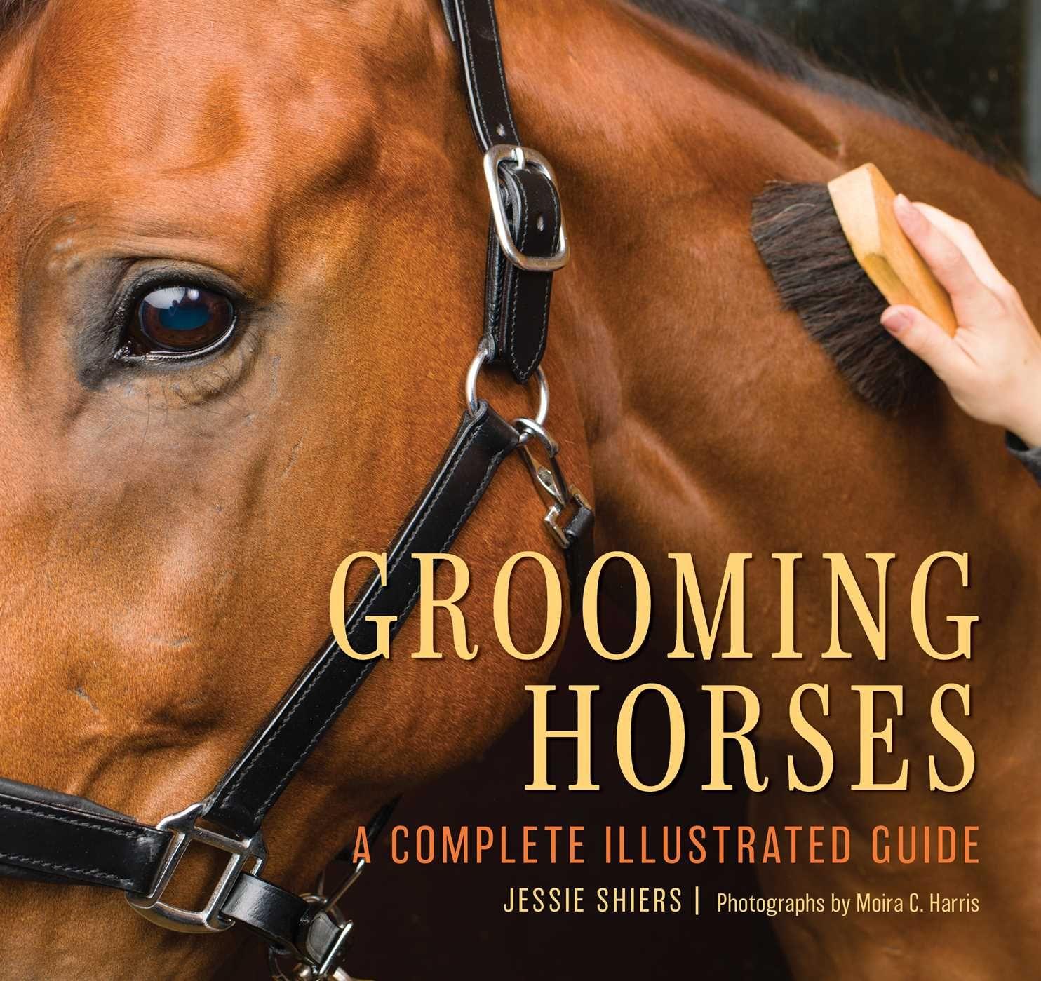 Vorderes Coverbild Grooming Horses
