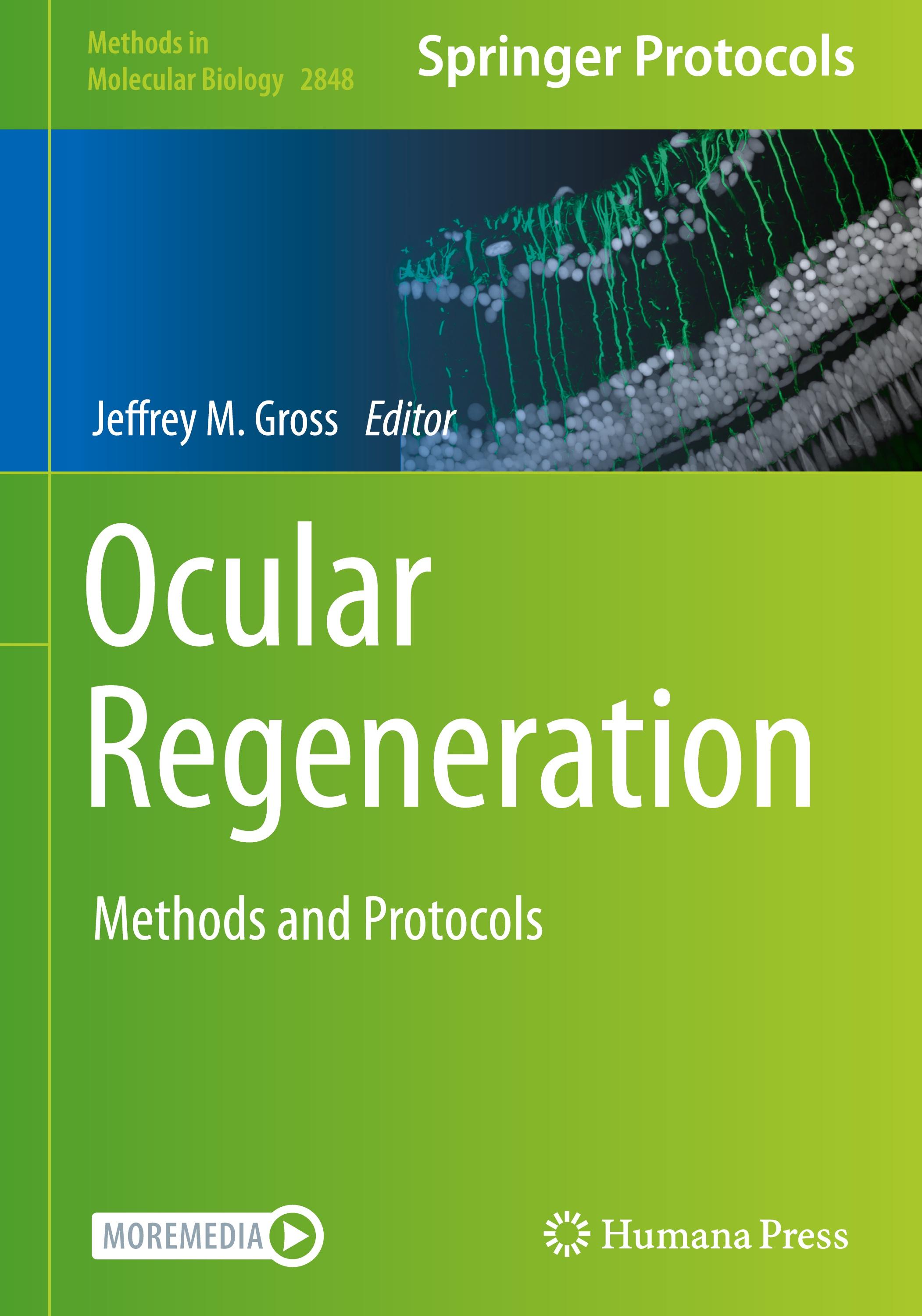 Vorderes Coverbild Ocular Regeneration